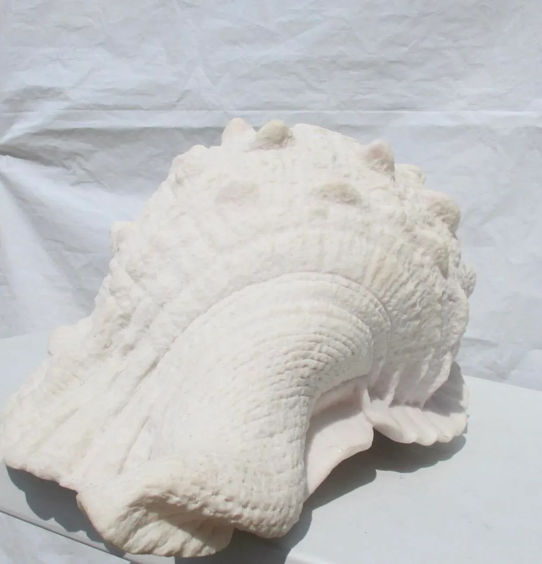 Lamp of Giant Conch Seashell Cast Resin Sculpture - 7