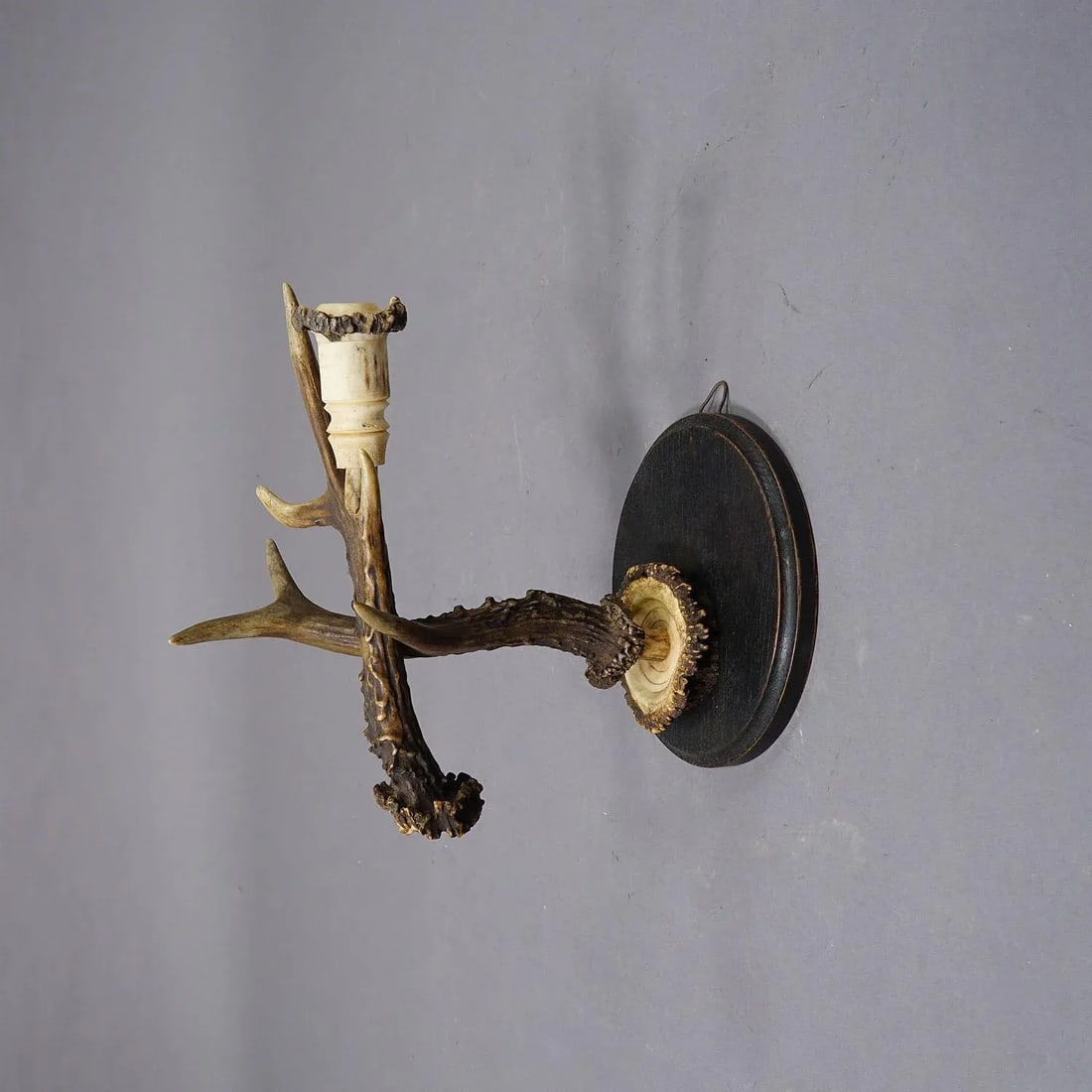 A Pair Great Black Forest Wall Sconces With Deer Horns, Germany Ca. 1900 - 5