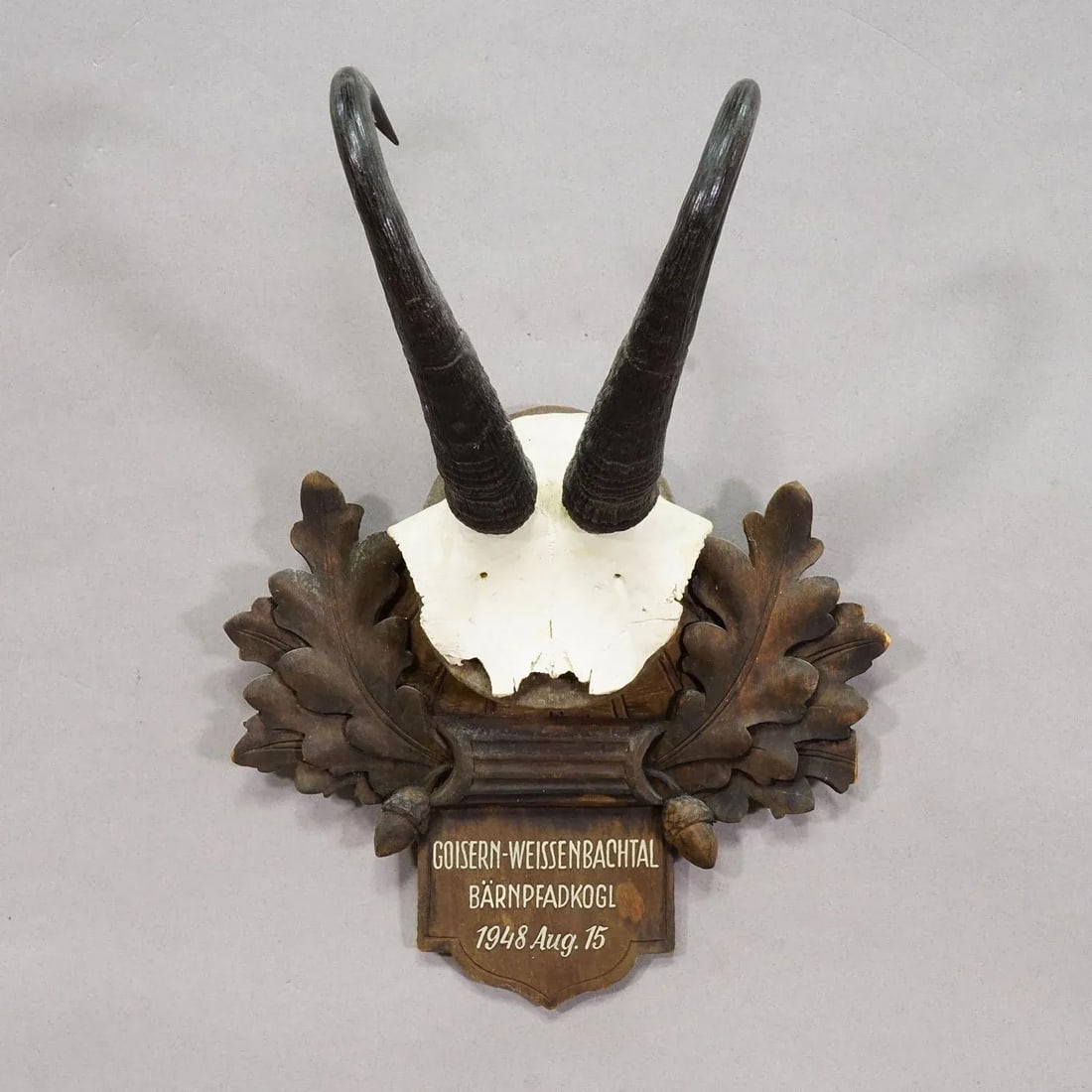 Large Chamois Trophy on Carved Plaque, Austria 1948 - 4