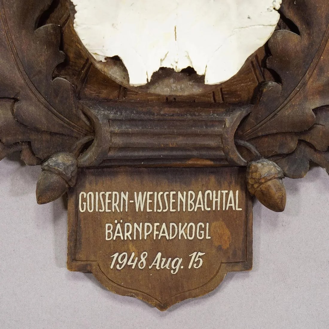 Large Chamois Trophy on Carved Plaque, Austria 1948 - 6