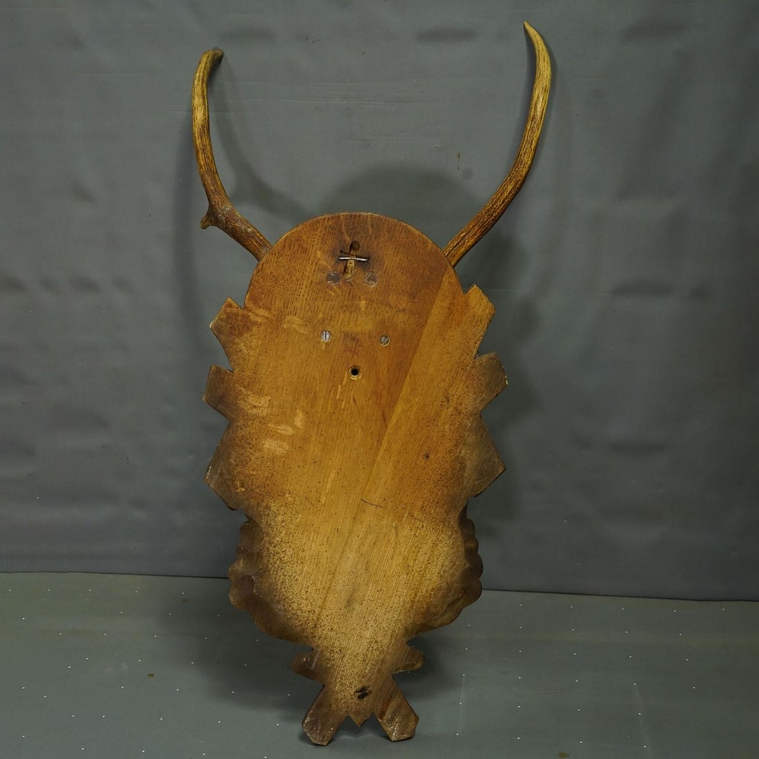 Large Black Forest Red Deer Trophy on Carved Plaque - Germany Ca. 1935 - 6
