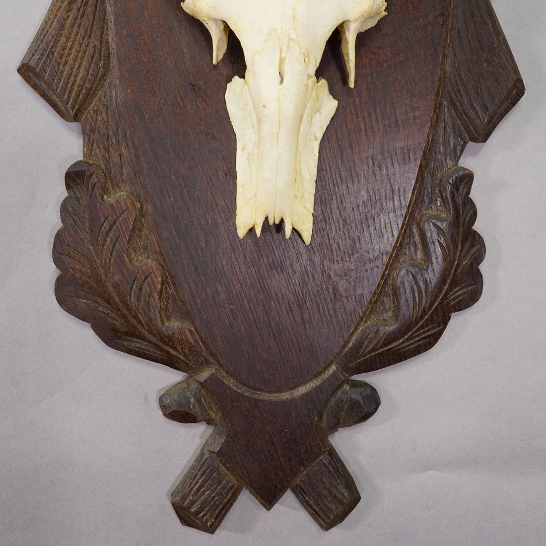 Large Black Forest Red Deer Trophy on Carved Plaque - Germany Ca. 1935 - 7