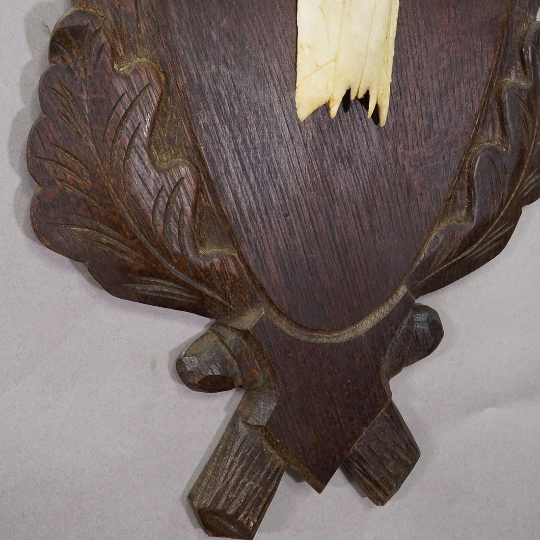 Large Black Forest Red Deer Trophy on Carved Plaque - Germany Ca. 1935 - 8
