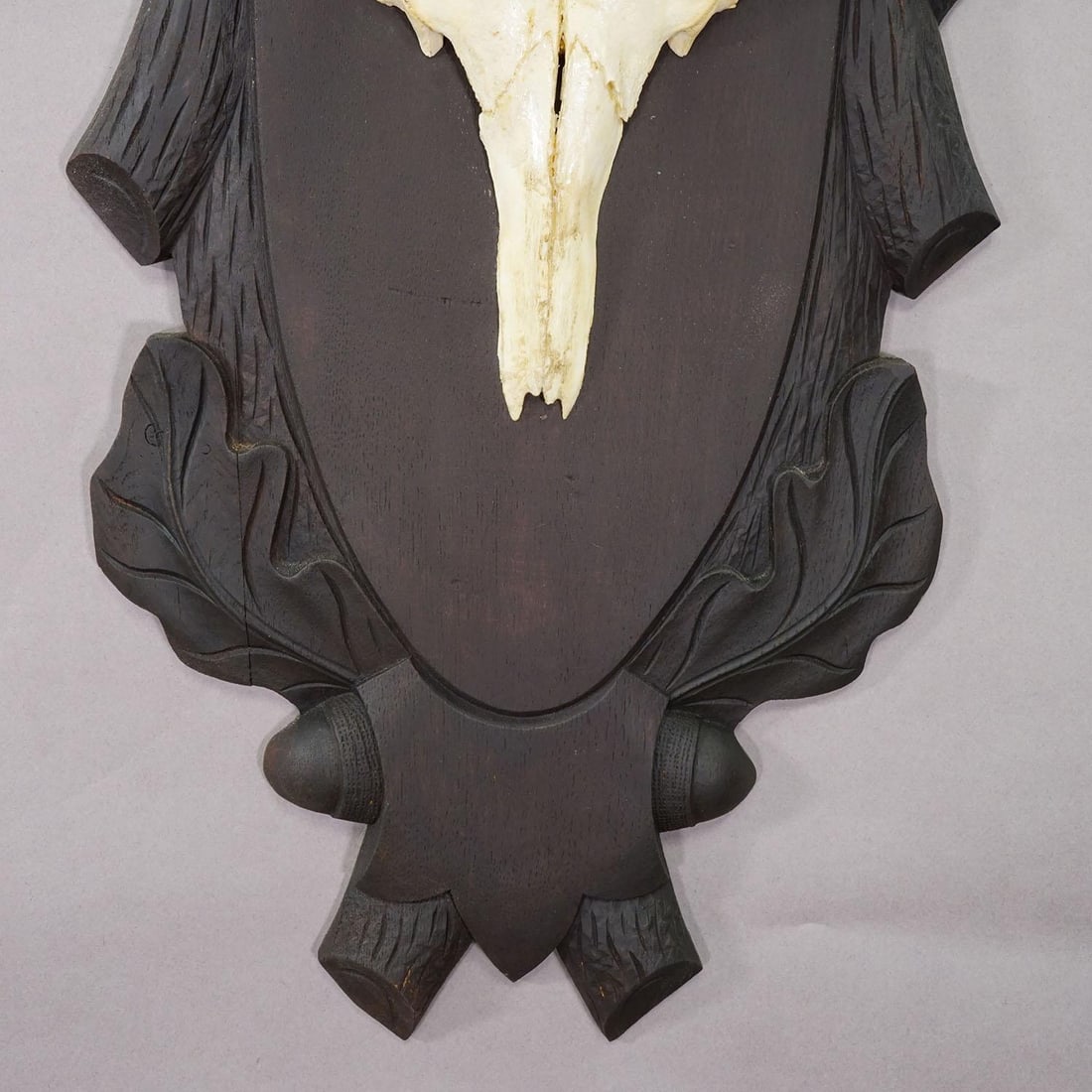Large Black Forest 8 Pointer Red Deer Trophy on Carved Plaque - Germany Ca. 1940s - 4