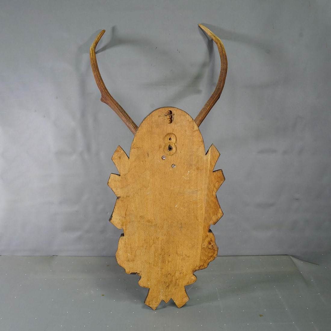 Large Black Forest 8 Pointer Red Deer Trophy on Carved Plaque - Germany Ca. 1940s - 5