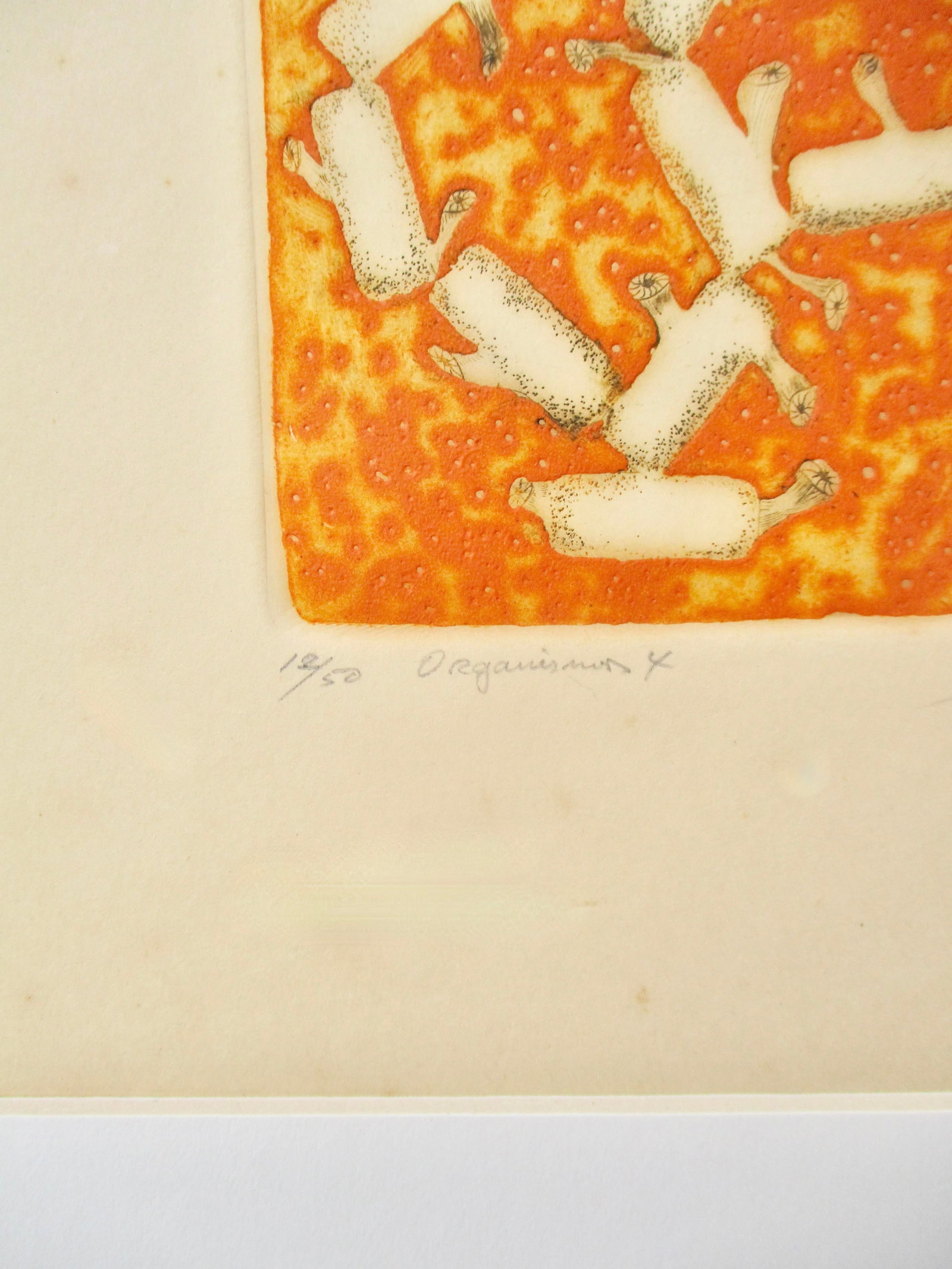 Rone Sugami Etching 12/50 Organism 4 - 6