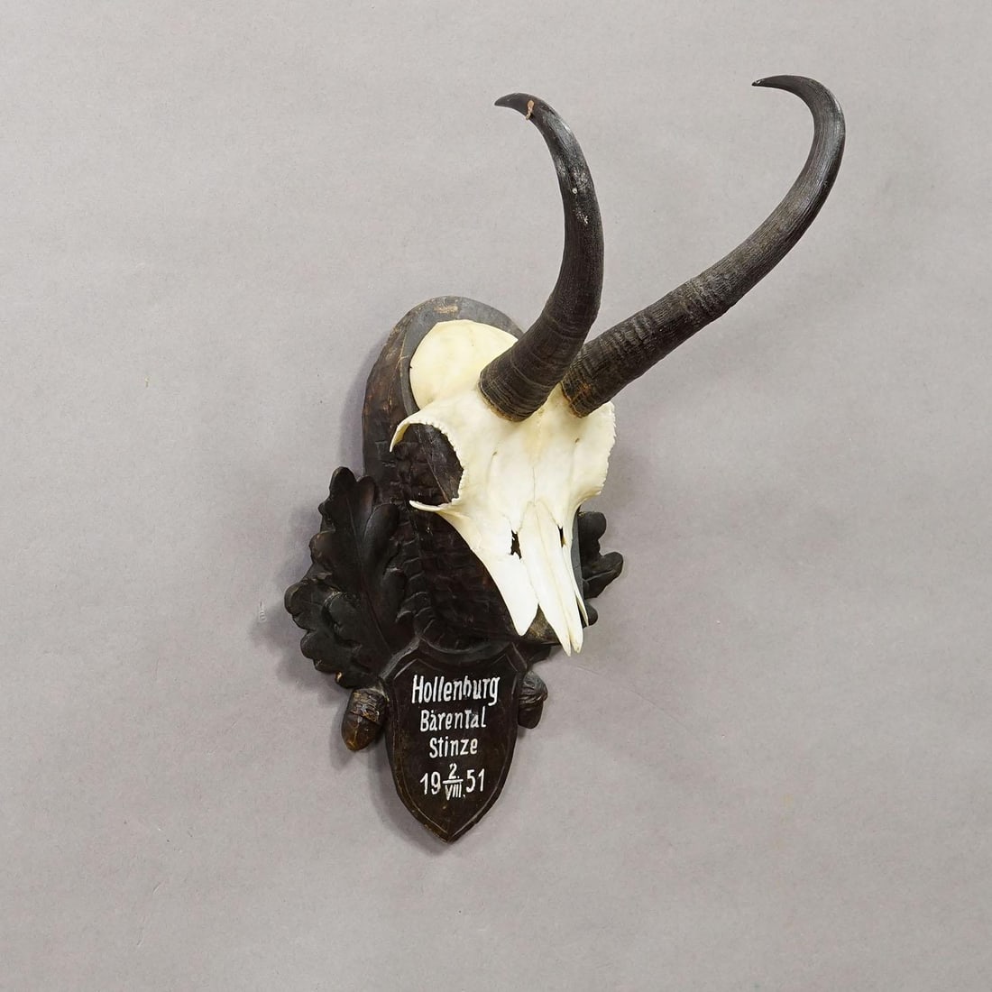 Black Forest Chamois Trophy on Carved Wooden Plaque, Austria 1951 - 2