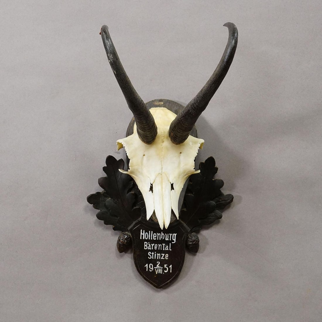 Black Forest Chamois Trophy on Carved Wooden Plaque, Austria 1951 - 3