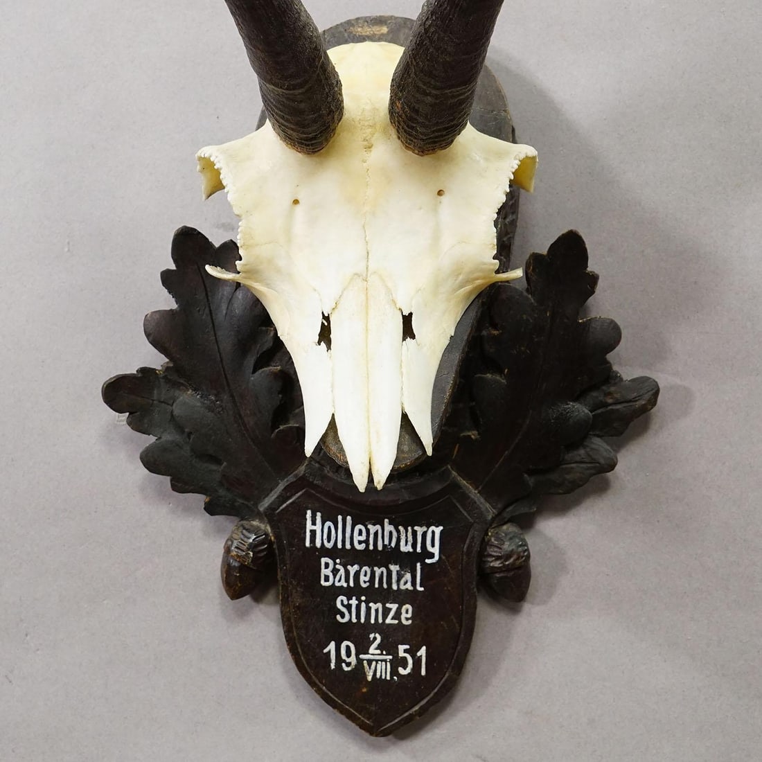 Black Forest Chamois Trophy on Carved Wooden Plaque, Austria 1951 - 4
