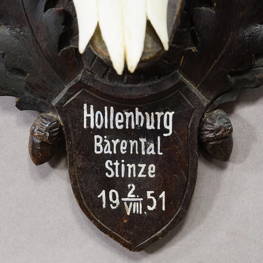 Black Forest Chamois Trophy on Carved Wooden Plaque, Austria 1951 - 5