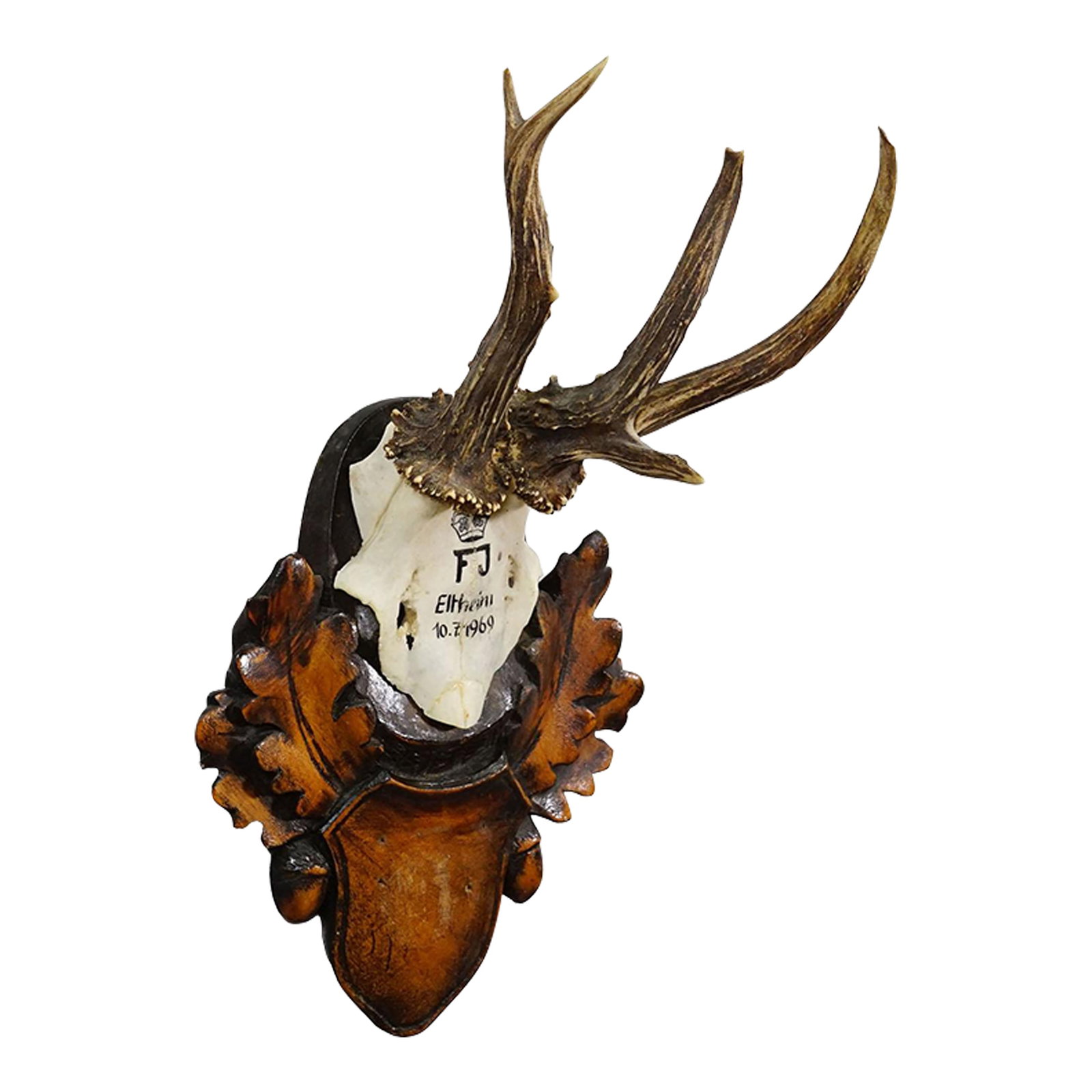 Red Deer Trophy by Franz Joseph, Prince of Thurn and Taxis, 1969 (1 of 7)