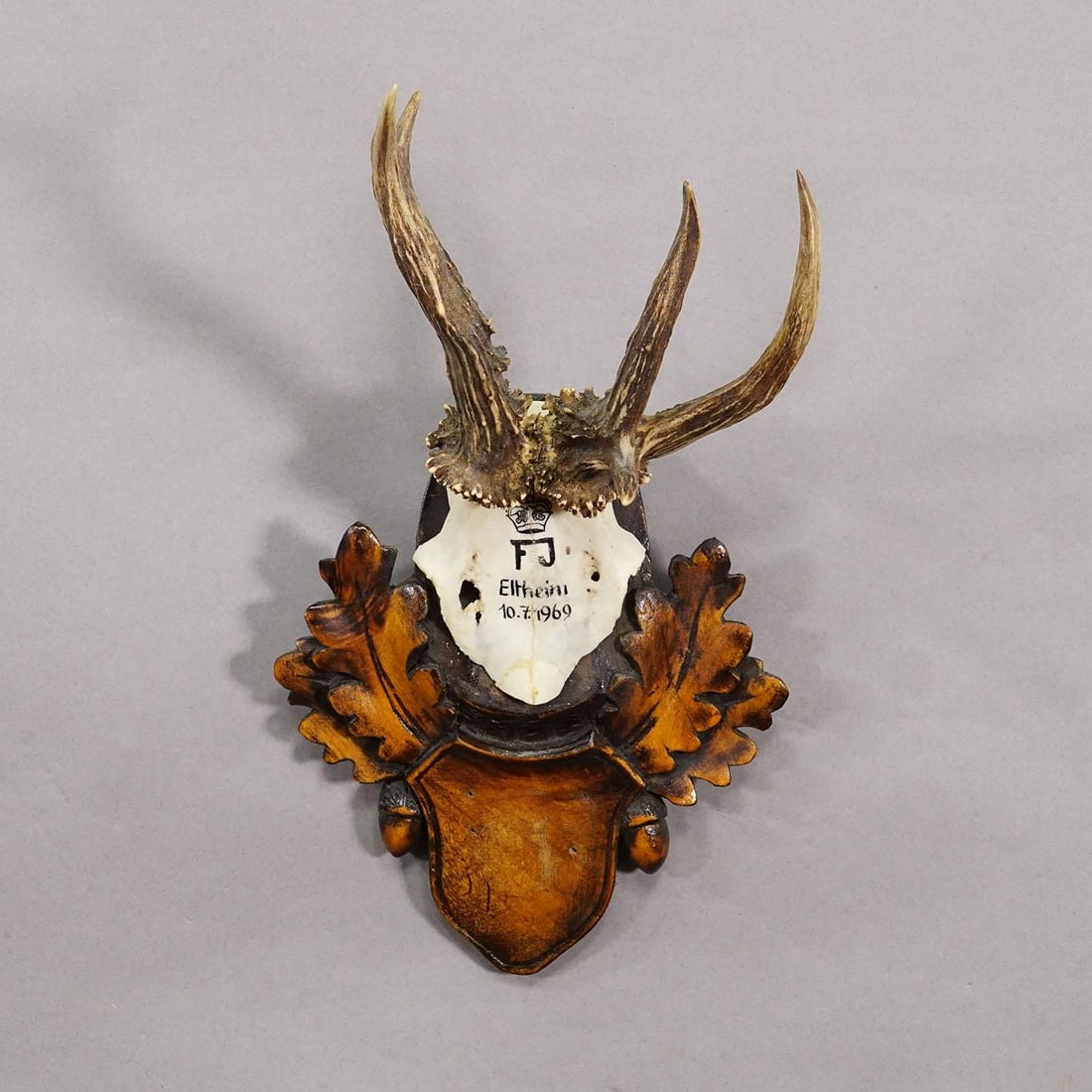 Red Deer Trophy by Franz Joseph, Prince of Thurn and Taxis, 1969 - 3