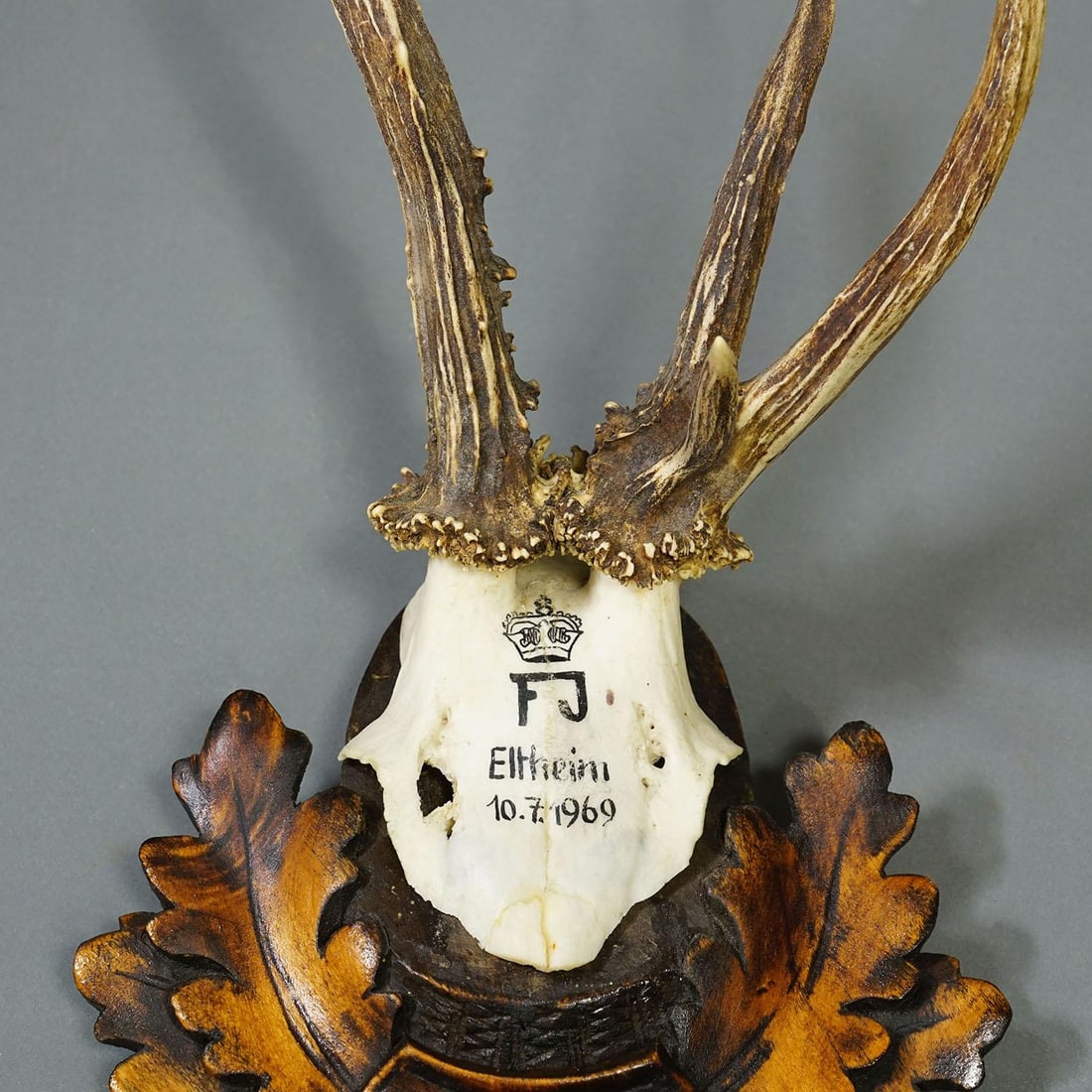 Red Deer Trophy by Franz Joseph, Prince of Thurn and Taxis, 1969 - 6