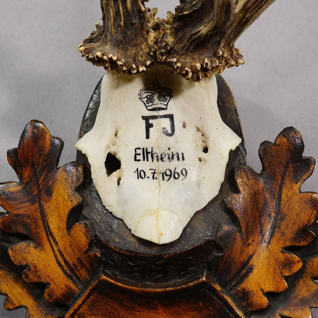 Red Deer Trophy by Franz Joseph, Prince of Thurn and Taxis, 1969 - 7