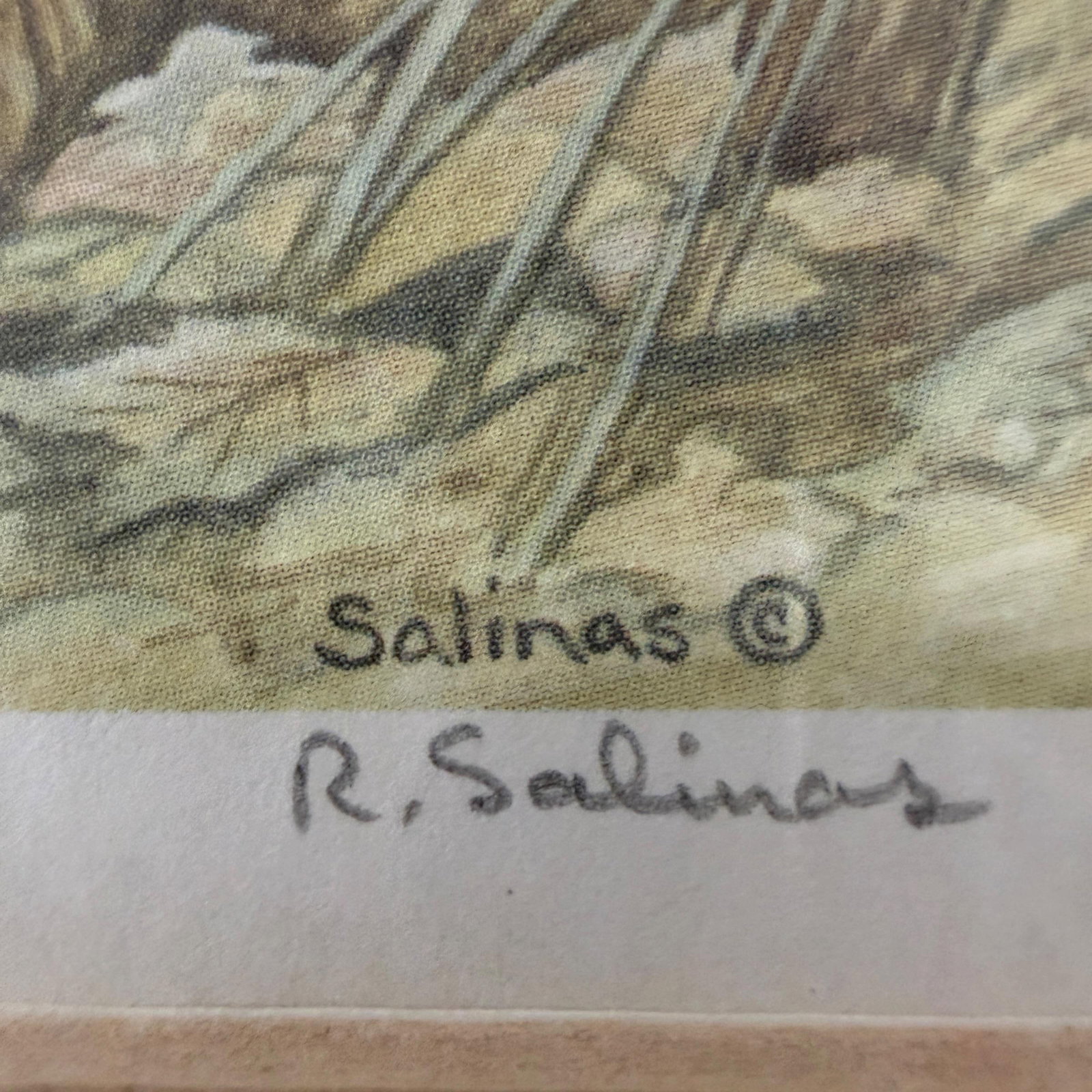 Vintage R. Salinas Signed, Numbered Print Lithograph of Two Golden Retrievers - 4