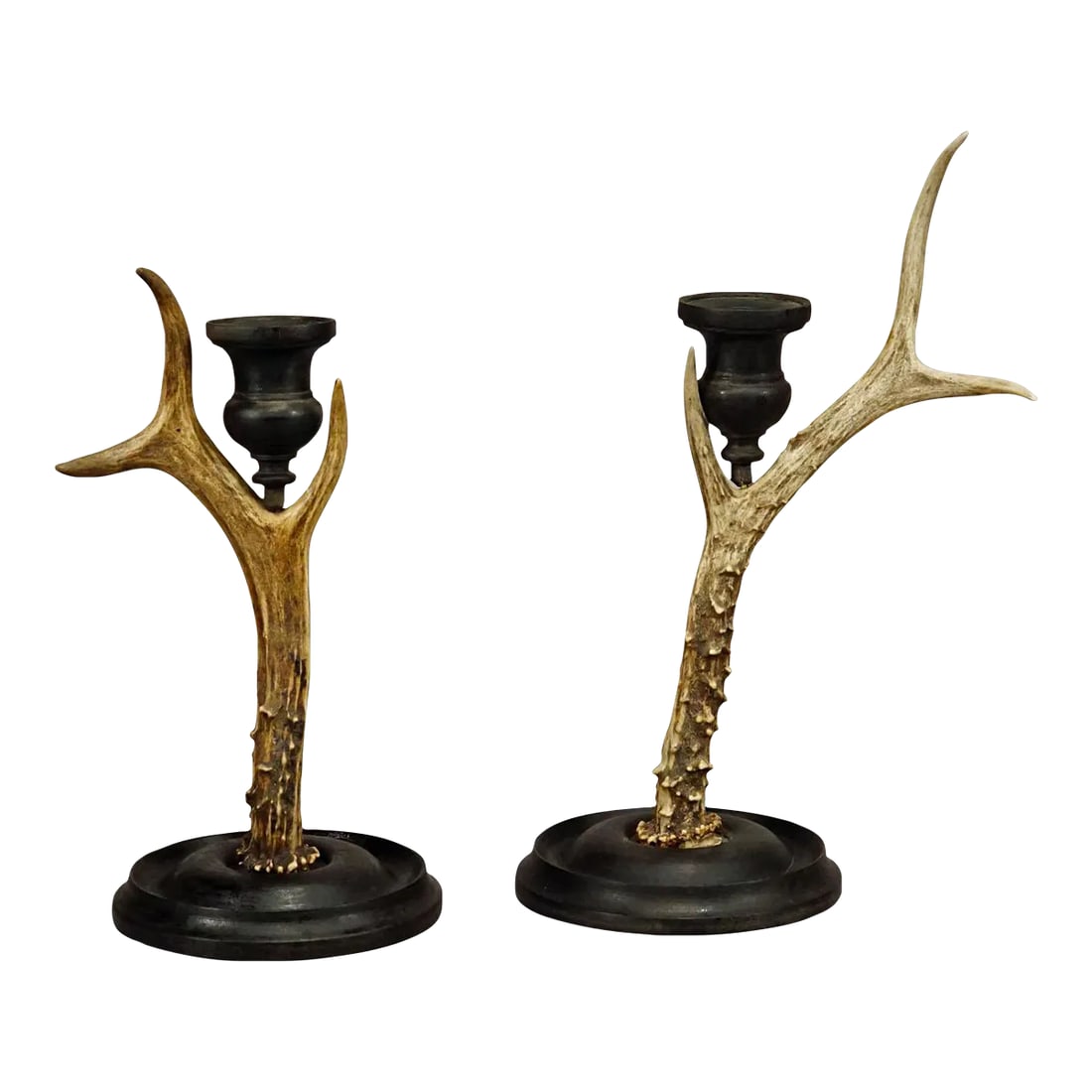 A Pair Vintage Black Forest Candle Holders With Wooden Base and Spout, Germany Ca. 1930s: A Pair Vintage Black Forest Candle Holders with Wooden Base and Spout, Germany ca. 1930s A pair of Black Forest candle holders with wooden turned base and spouts. Each made with an original deer horn.
