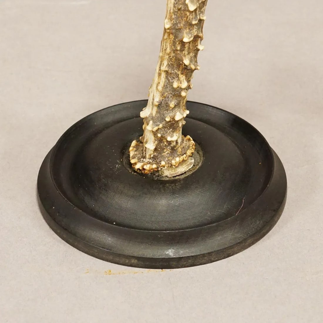 A Pair Vintage Black Forest Candle Holders With Wooden Base and Spout, Germany Ca. 1930s - 4