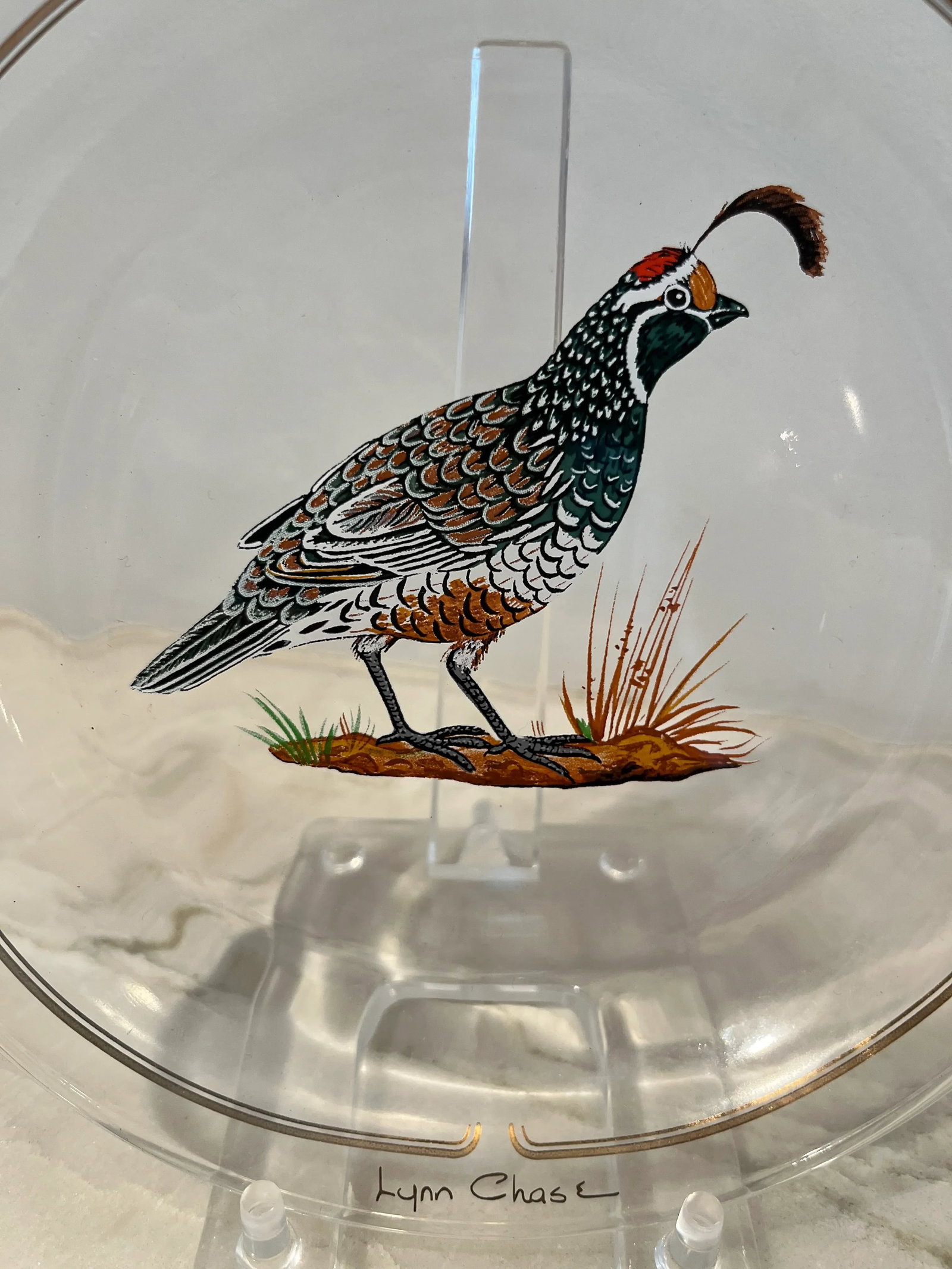 Late 20th Century Winter Game Birds Red Glassware Canapé Plates by Lynn Chase- Set of 6 - 7