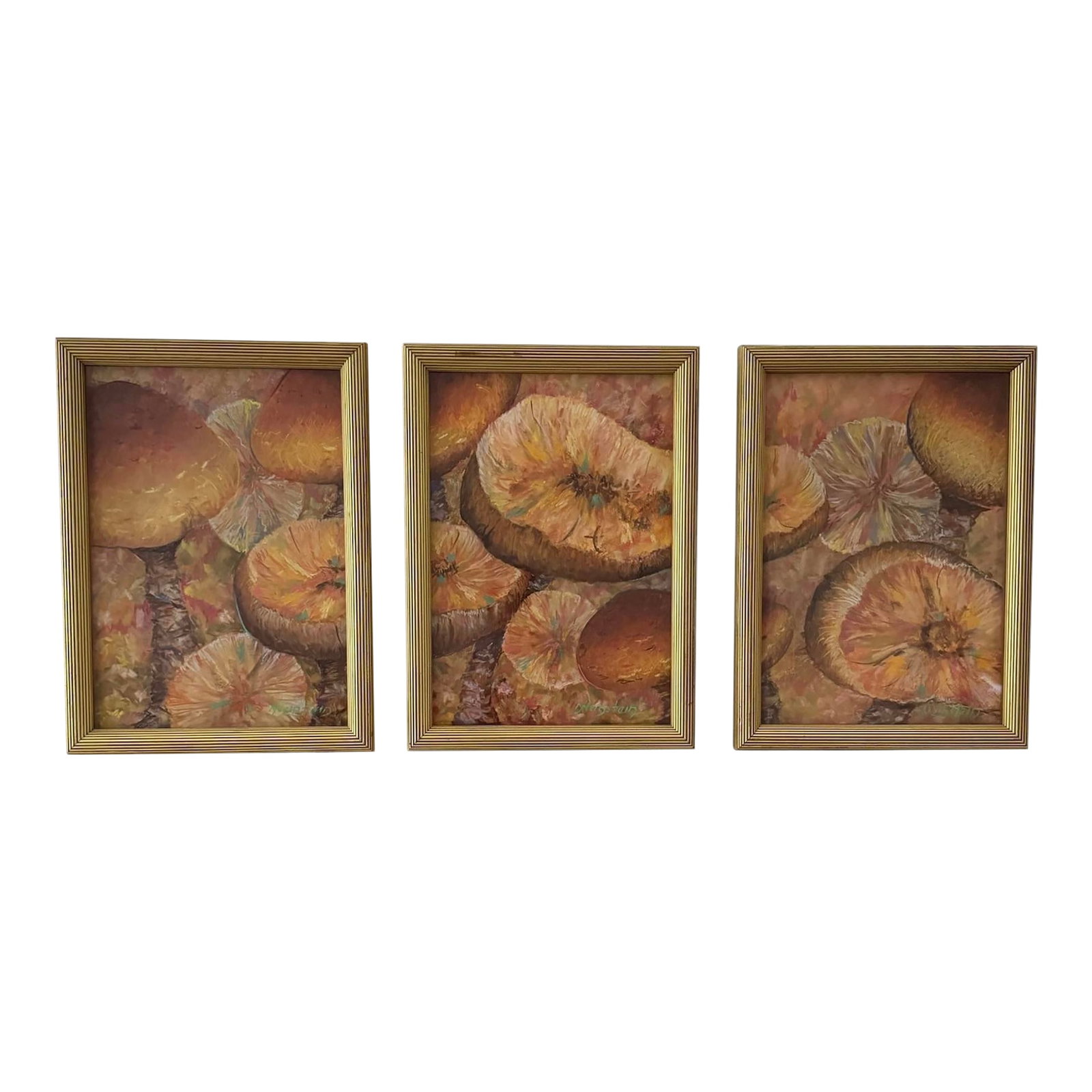 Signed Original Artwork Mushroom Toadstools Giltwood Framed Triptych: Norman J. Weinstein's "Toadstools - Triptych" pastel artwork with original vintage listing price and artist bio. Each piece is signed twice -lower right and also on verso. This original pastel