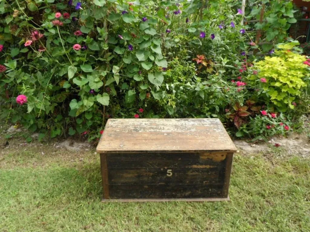 Antique 1860-1880 Country Yellow Pine Sailor's Chest With Original Paint - 3