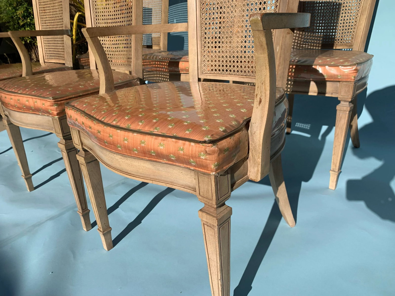 1950s Georgian Style Cane Backed Dining Chairs Set of 6 - 10