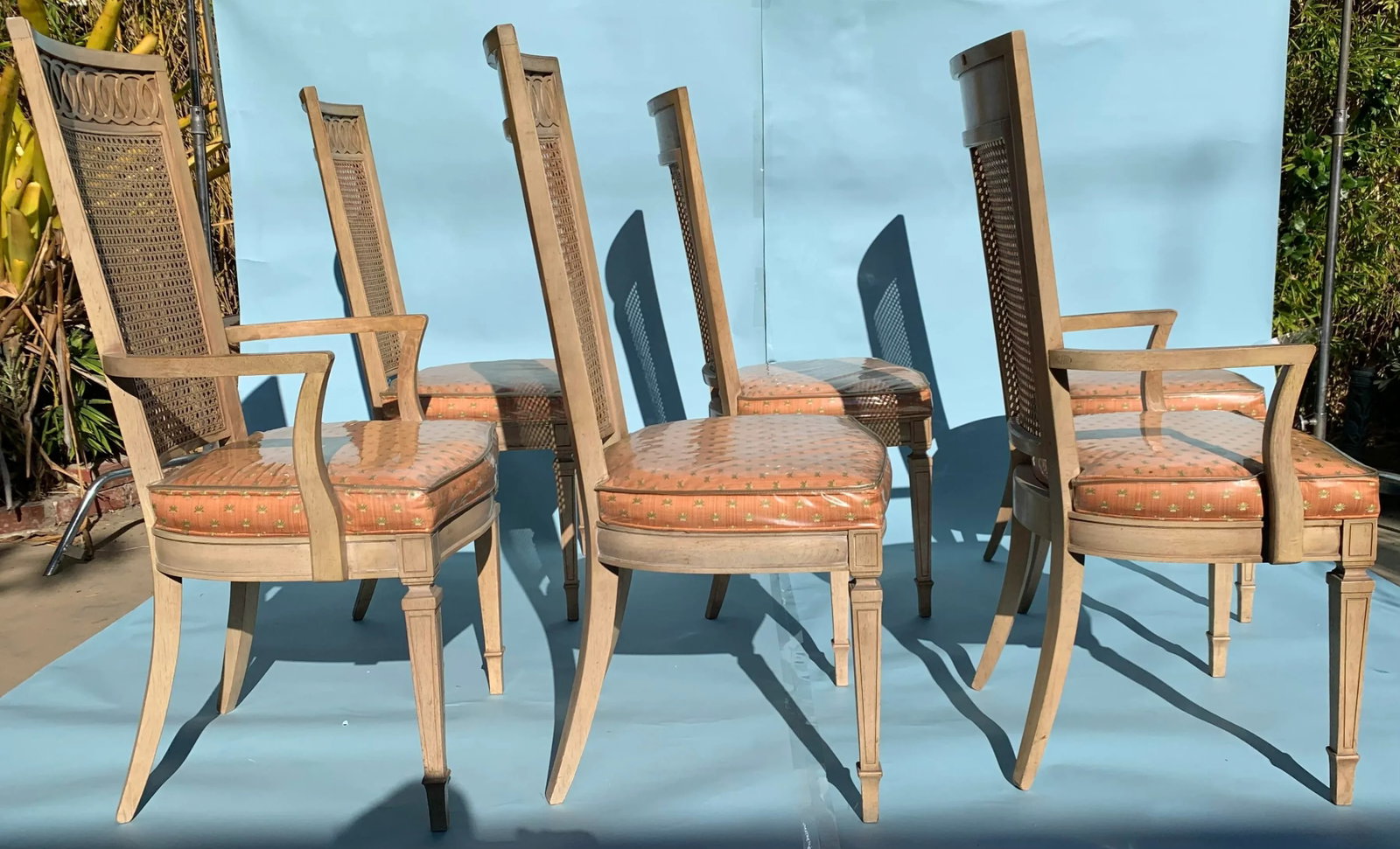 1950s Georgian Style Cane Backed Dining Chairs Set of 6 - 5