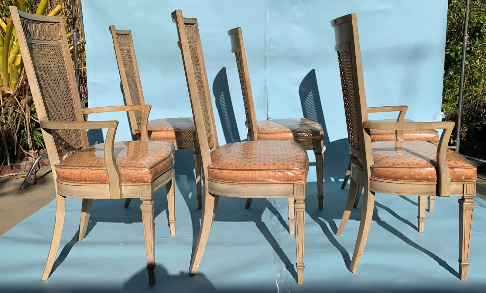 1950s Georgian Style Cane Backed Dining Chairs Set of 6 - 6