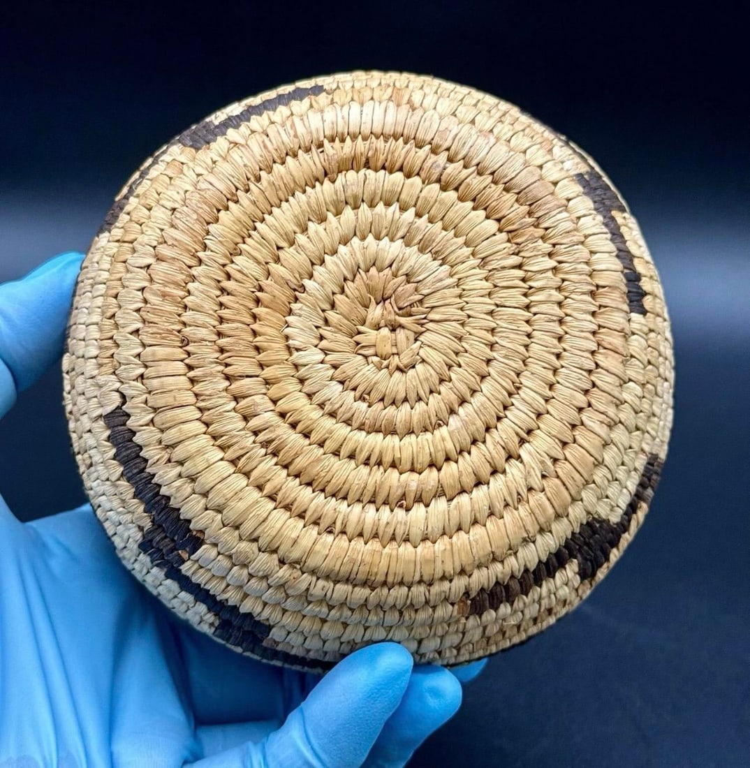 1930s Native American Papago Style Hand Woven Lidded Coil Basket. Tohono O'odham Style - 5