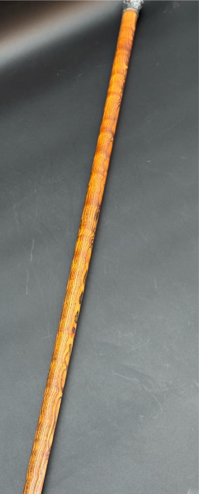 Antique Victorian Silver Mounted Walking Stick - 11