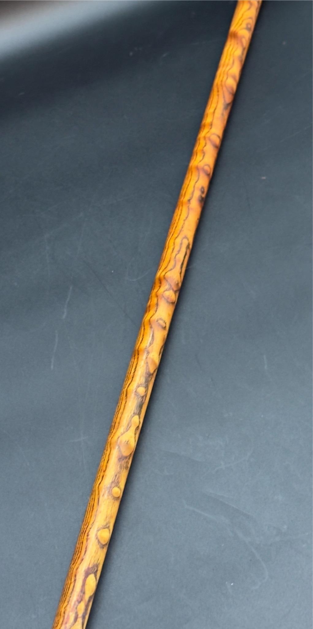 Antique Victorian Silver Mounted Walking Stick - 12