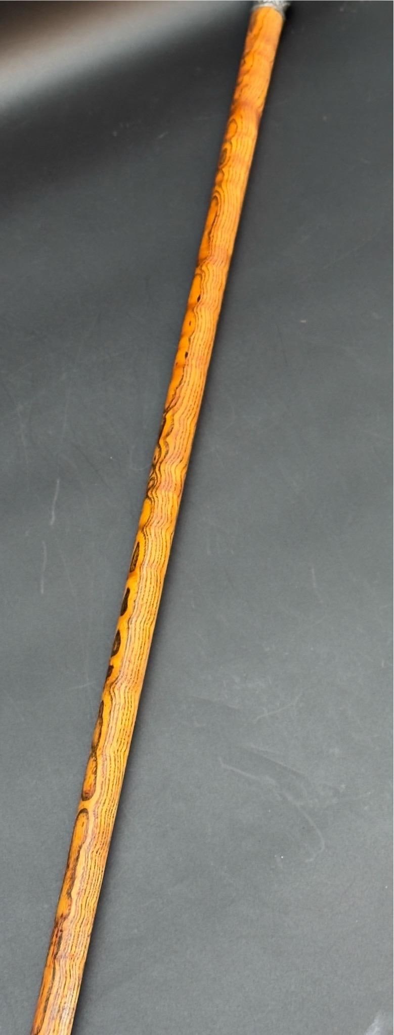 Antique Victorian Silver Mounted Walking Stick - 14