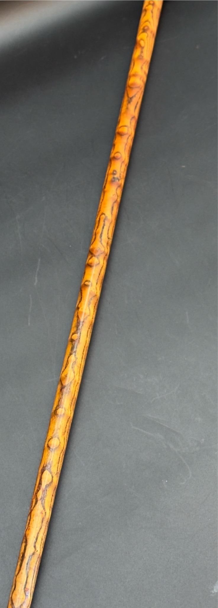 Antique Victorian Silver Mounted Walking Stick - 15