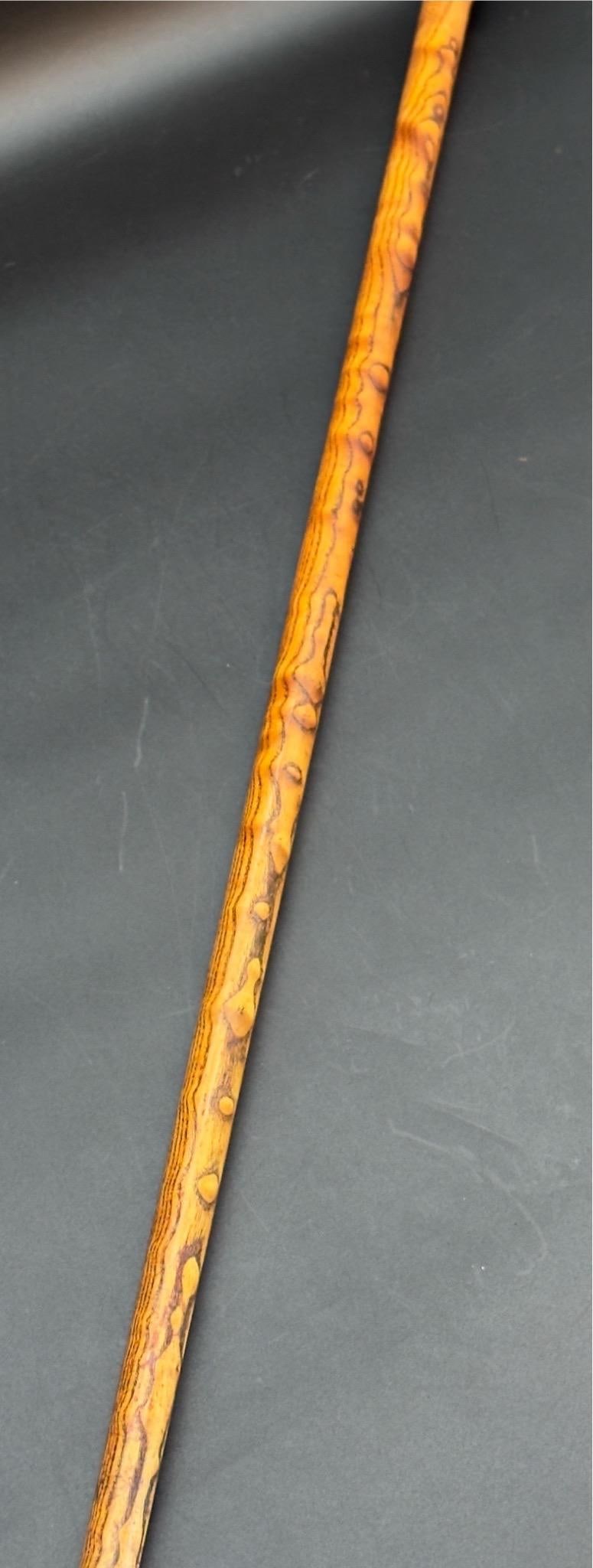 Antique Victorian Silver Mounted Walking Stick - 16
