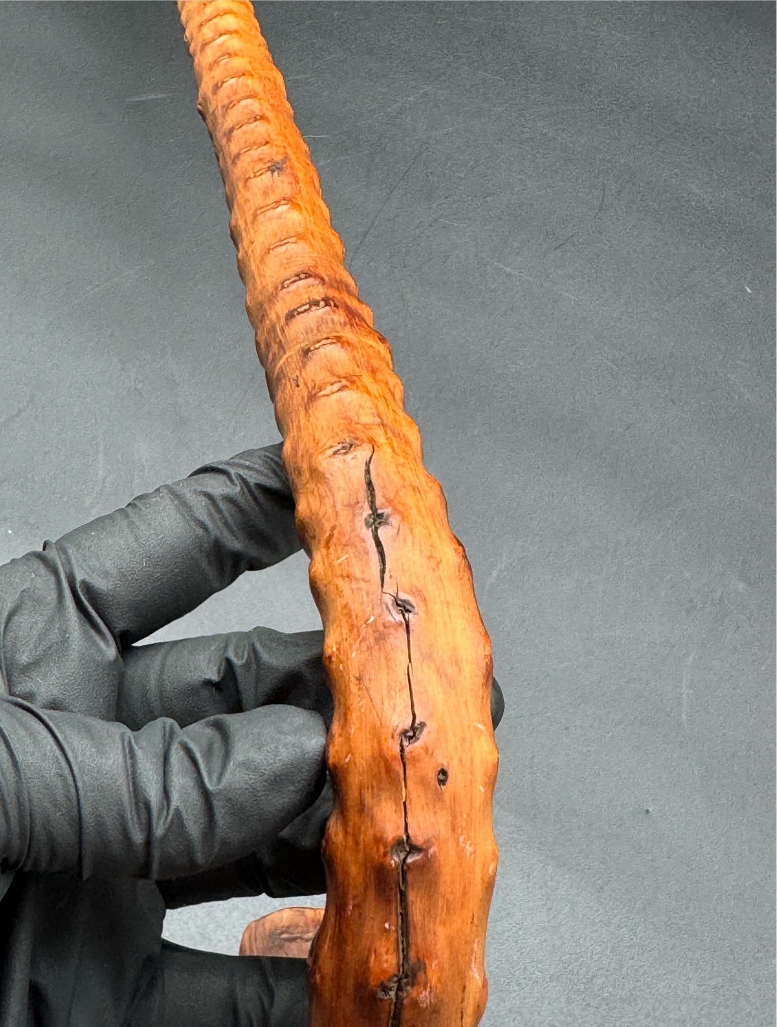 Antique Victorian Brussel Sprout Stalk Walking Stick, Sterling Silver Adornment - 15