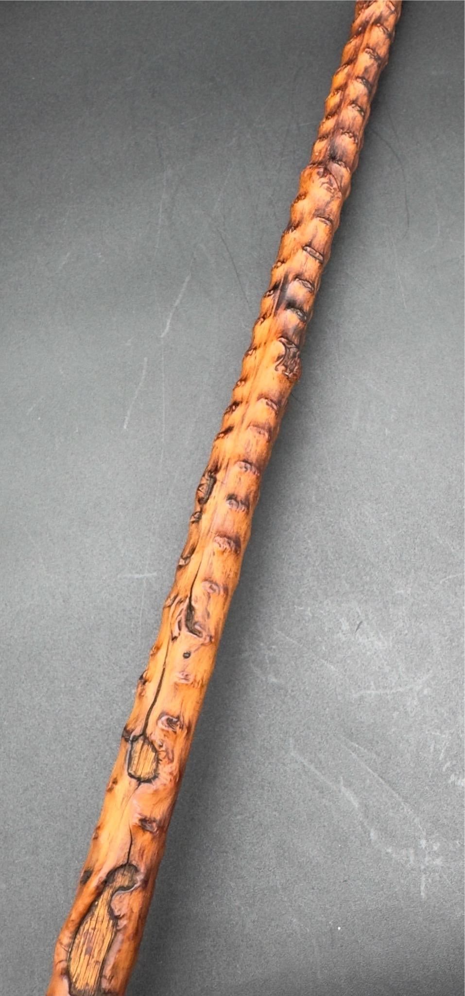 Antique Victorian Brussel Sprout Stalk Walking Stick, Sterling Silver Adornment - 3