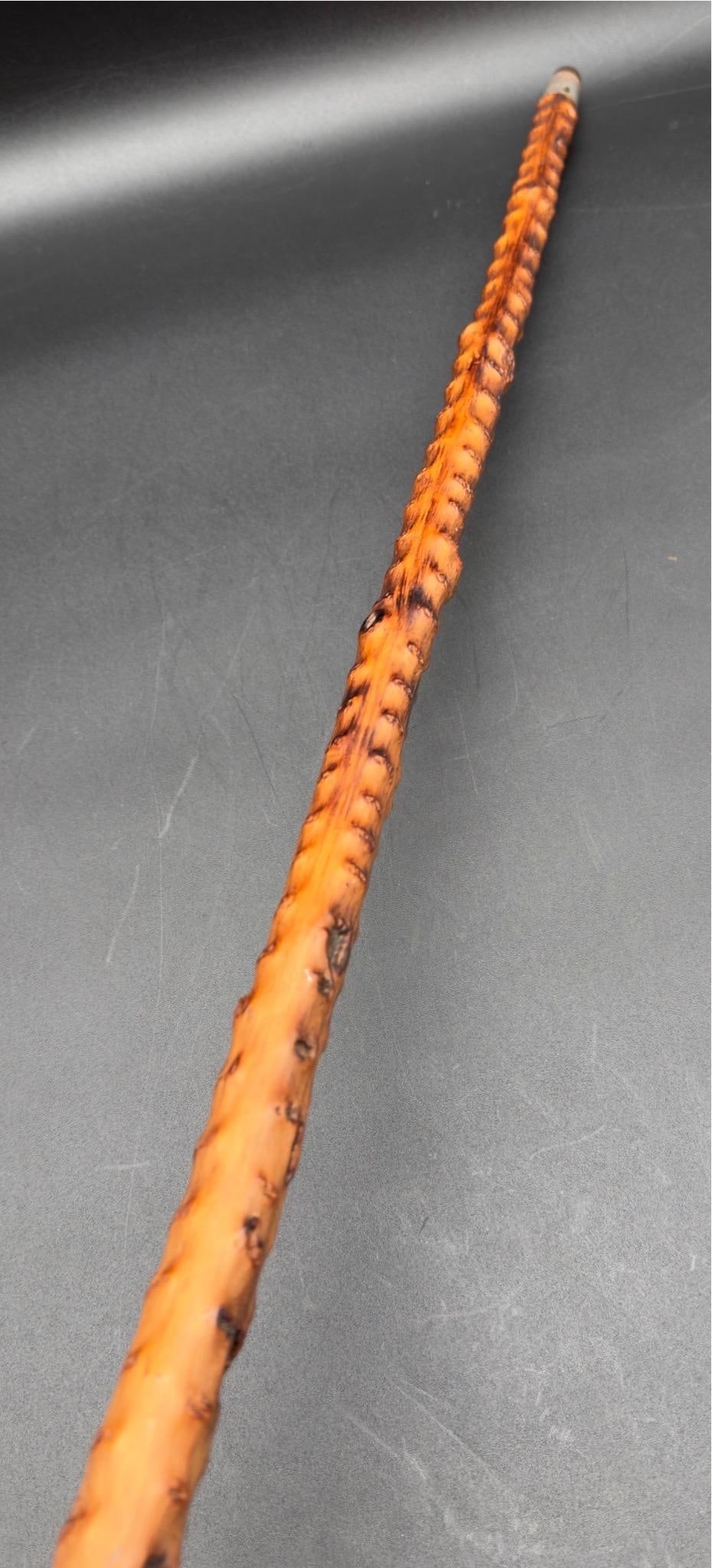 Antique Victorian Brussel Sprout Stalk Walking Stick, Sterling Silver Adornment - 5