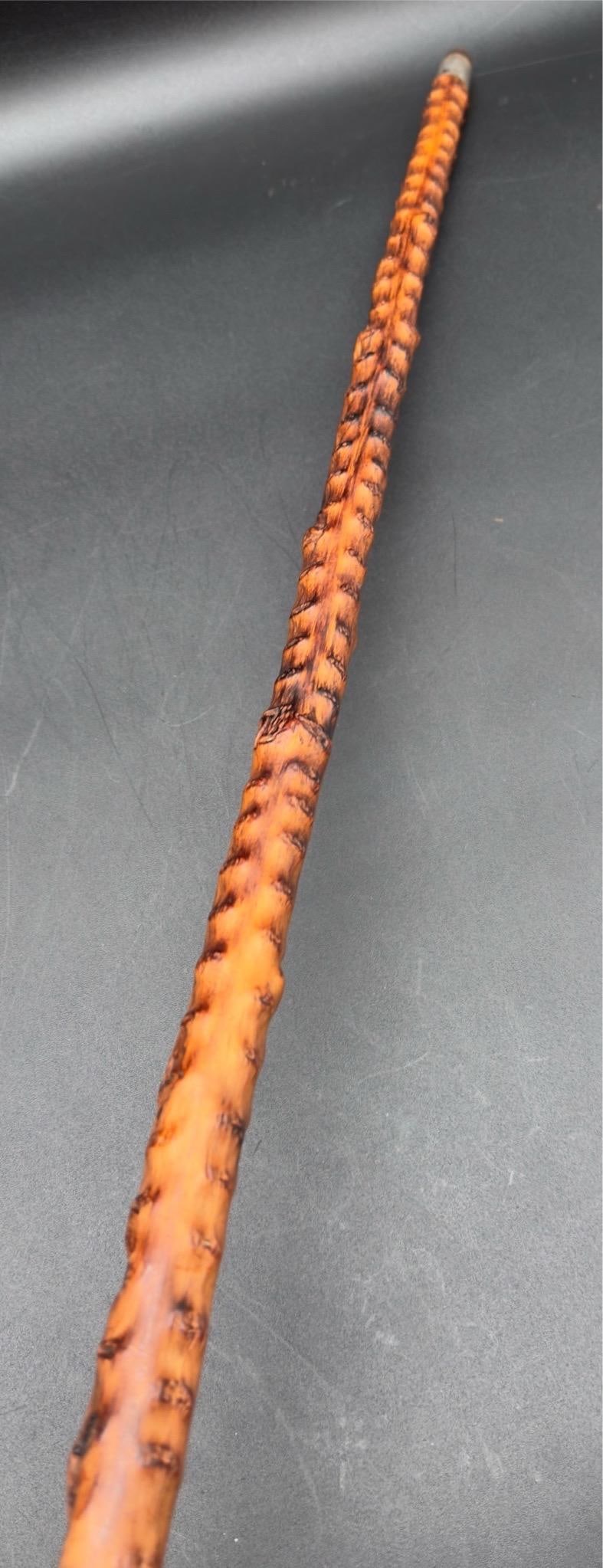 Antique Victorian Brussel Sprout Stalk Walking Stick, Sterling Silver Adornment - 6