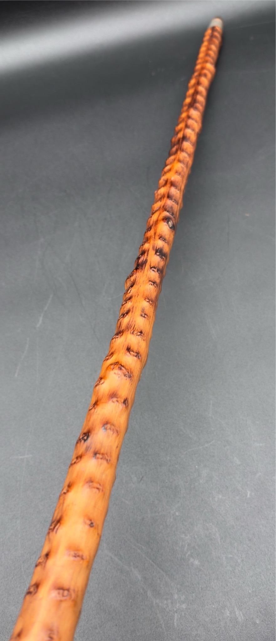 Antique Victorian Brussel Sprout Stalk Walking Stick, Sterling Silver Adornment - 7