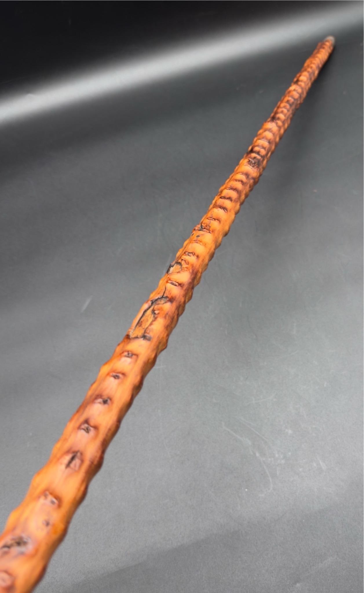 Antique Victorian Brussel Sprout Stalk Walking Stick, Sterling Silver Adornment - 9