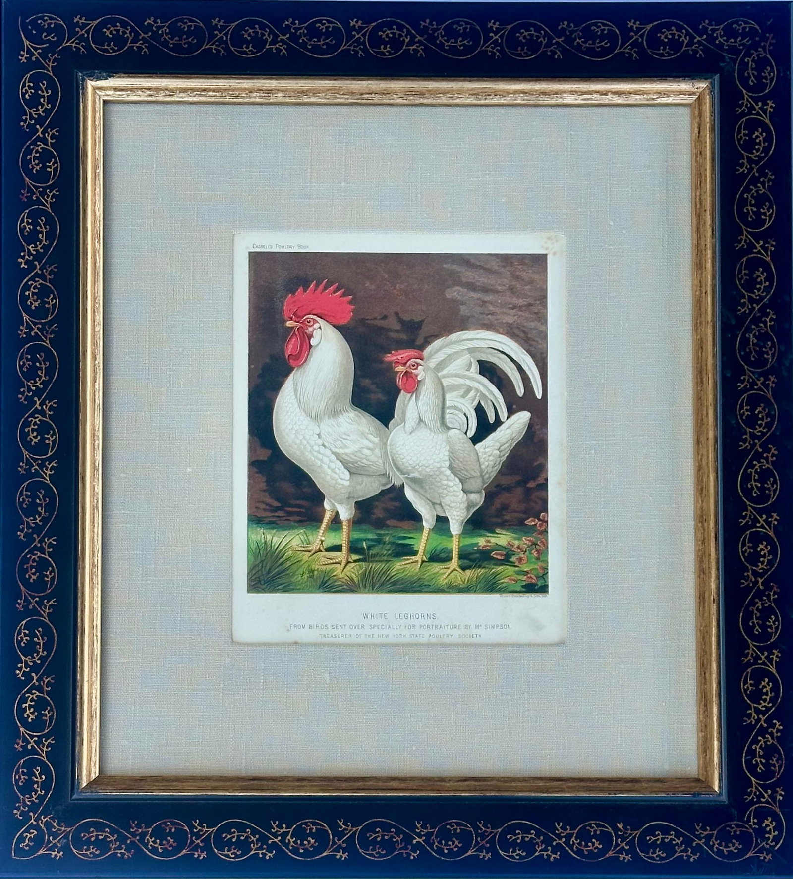 White Leghorn Chicken & Black Polish, Framed Pair by Cassell, 1890 - 3