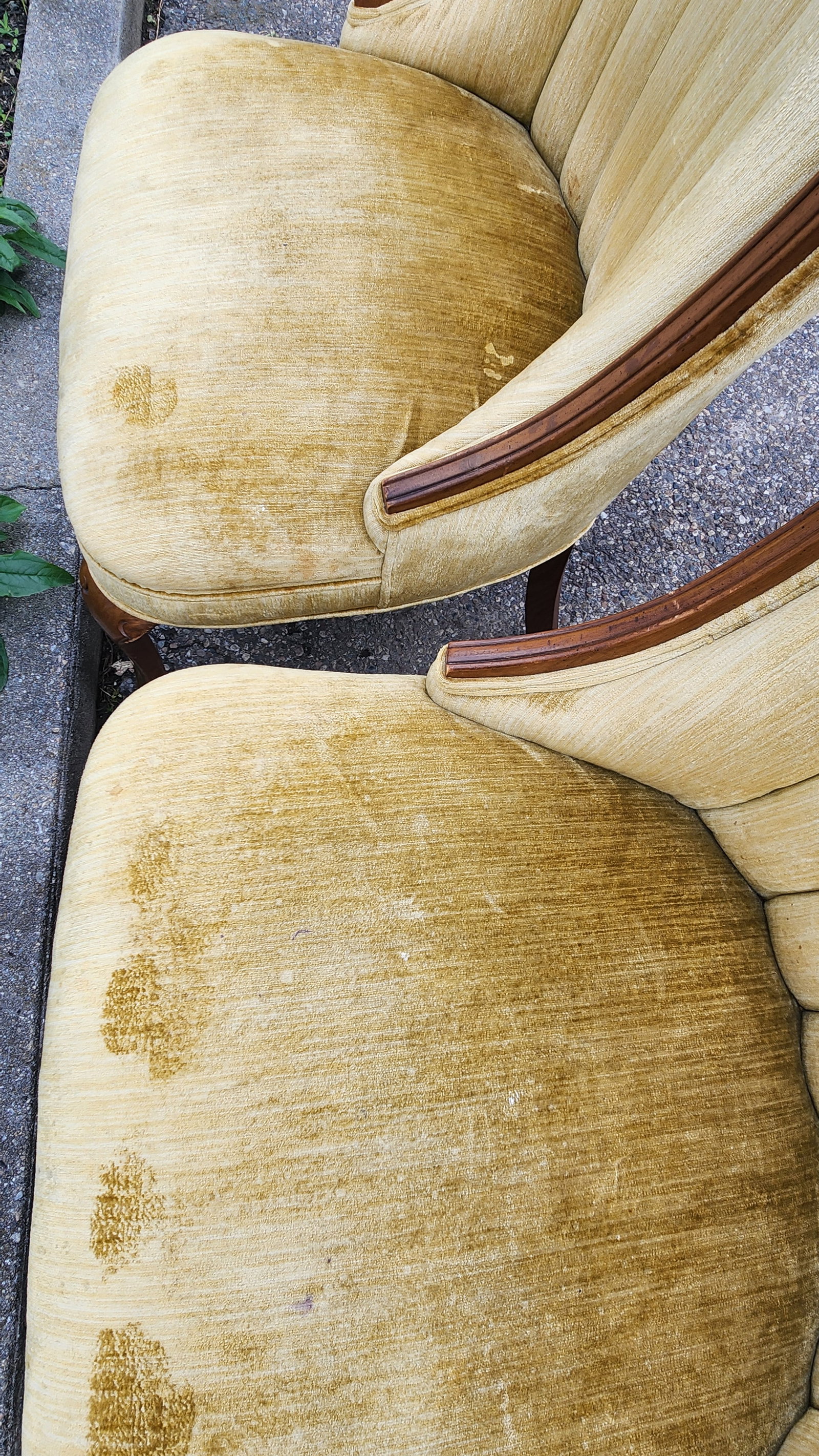 Pair of Vintage Hollywood Regency Shell Back Slipper Chairs, 1940s Style - 9
