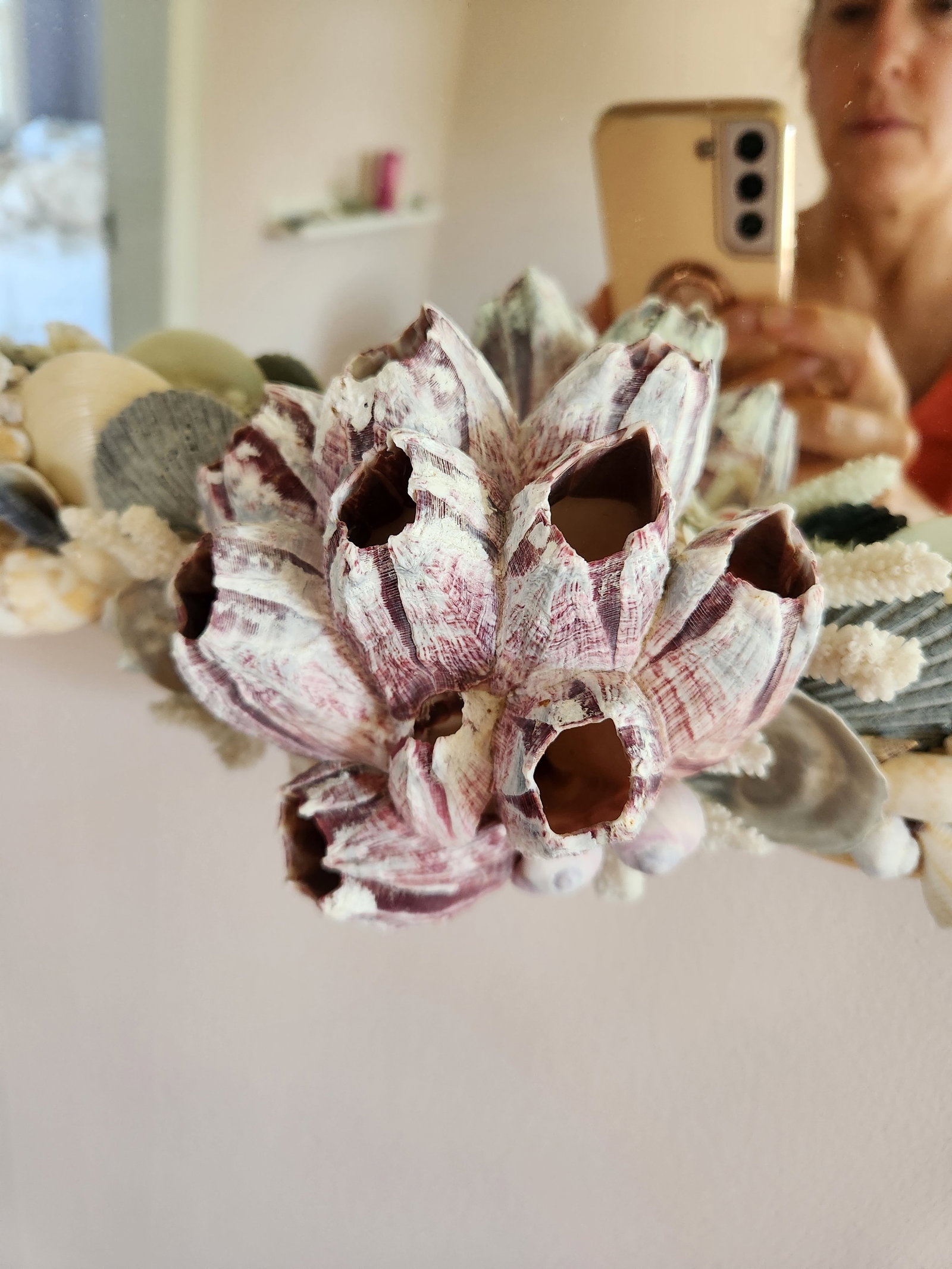 Seashell Encrusted Wall Mirror, Coastal Grandma Decor, Scallop Shell Accent - 12