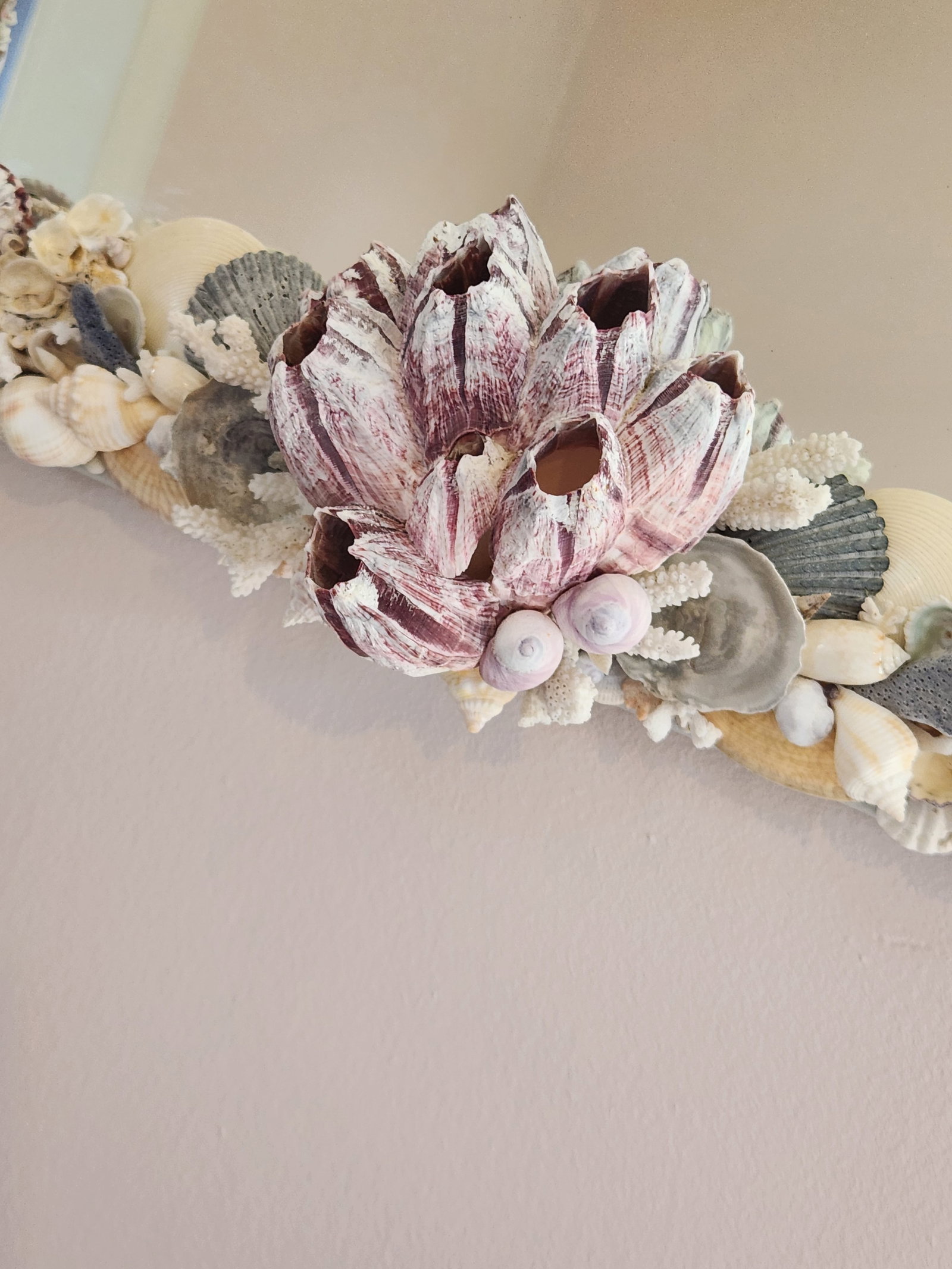 Seashell Encrusted Wall Mirror, Coastal Grandma Decor, Scallop Shell Accent - 14