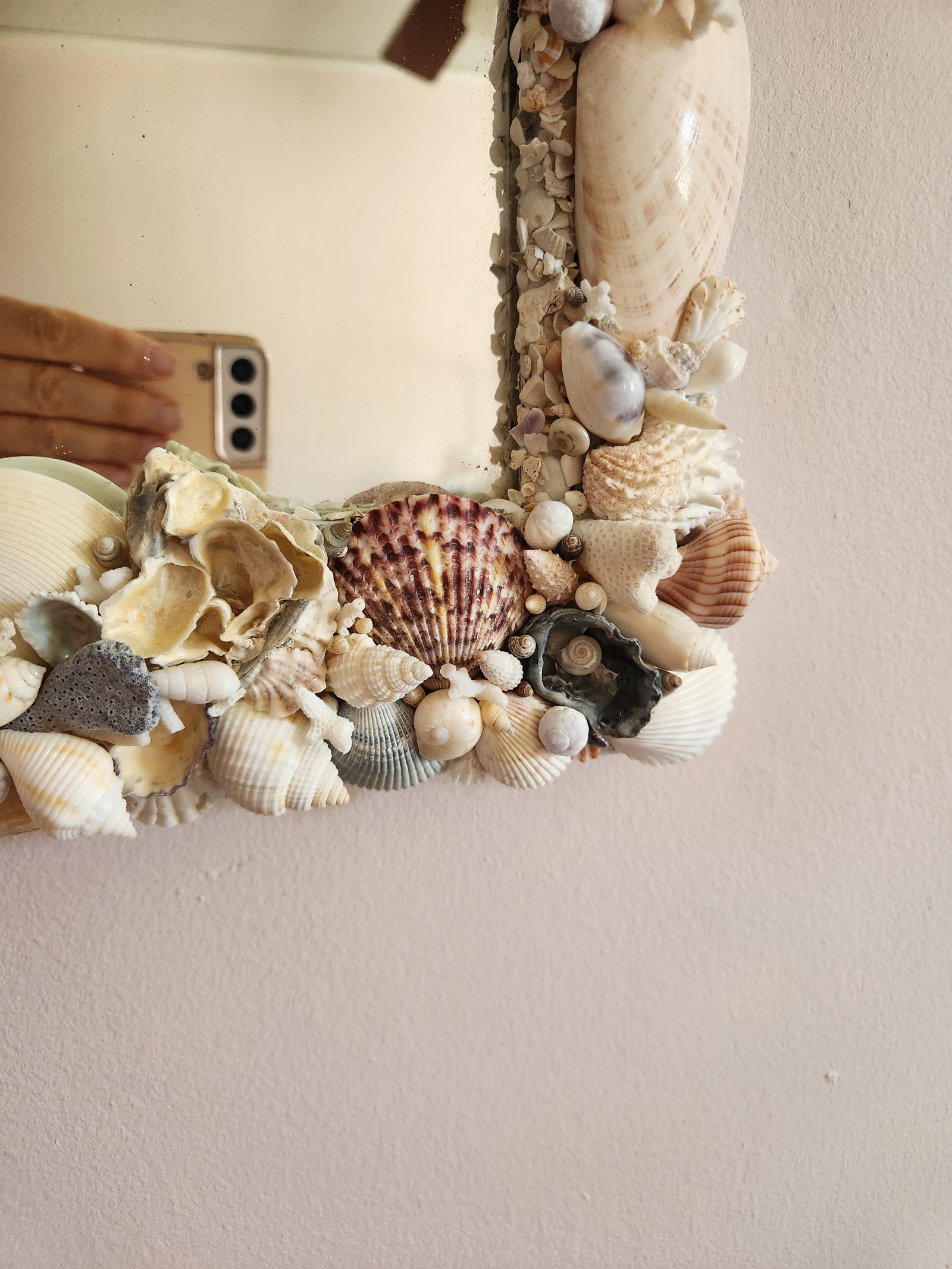 Seashell Encrusted Wall Mirror, Coastal Grandma Decor, Scallop Shell Accent - 16