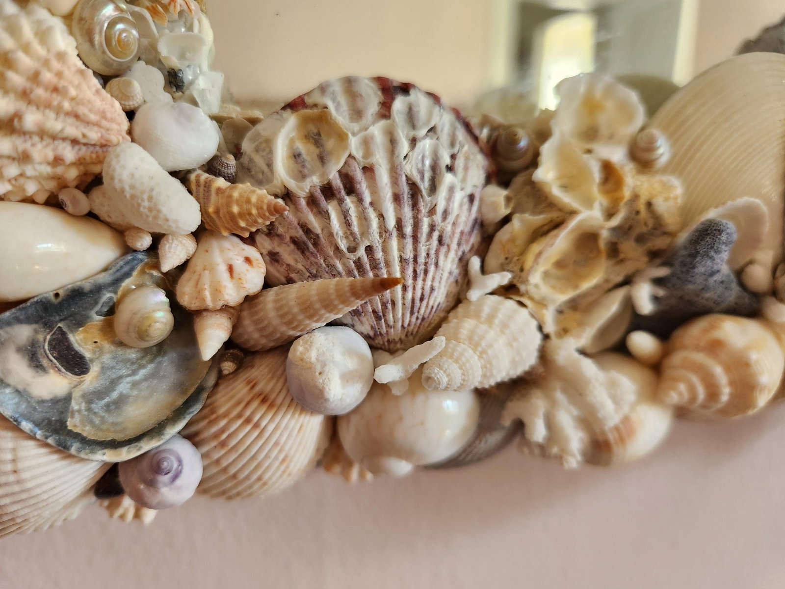 Seashell Encrusted Wall Mirror, Coastal Grandma Decor, Scallop Shell Accent - 6