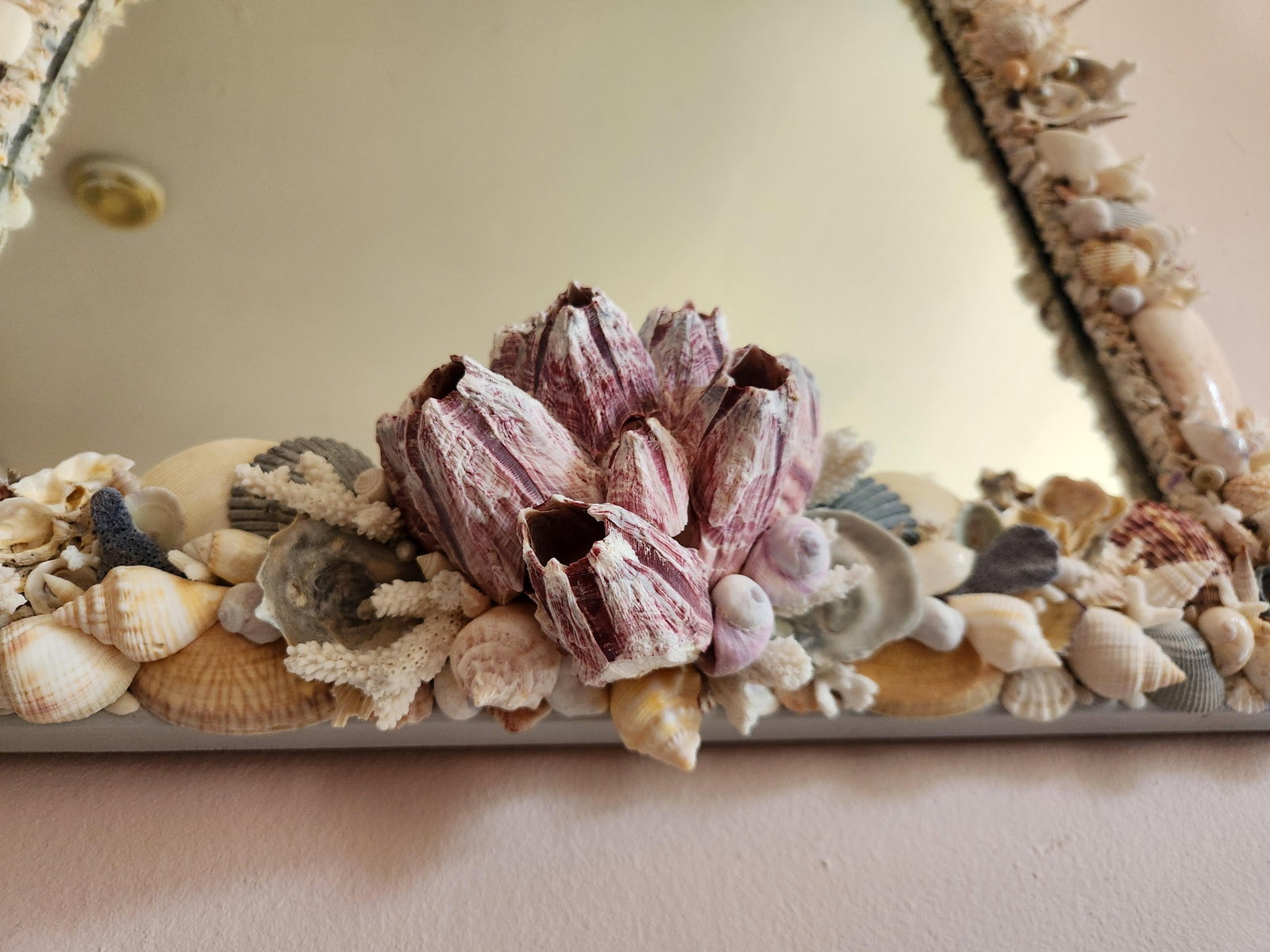 Seashell Encrusted Wall Mirror, Coastal Grandma Decor, Scallop Shell Accent - 8