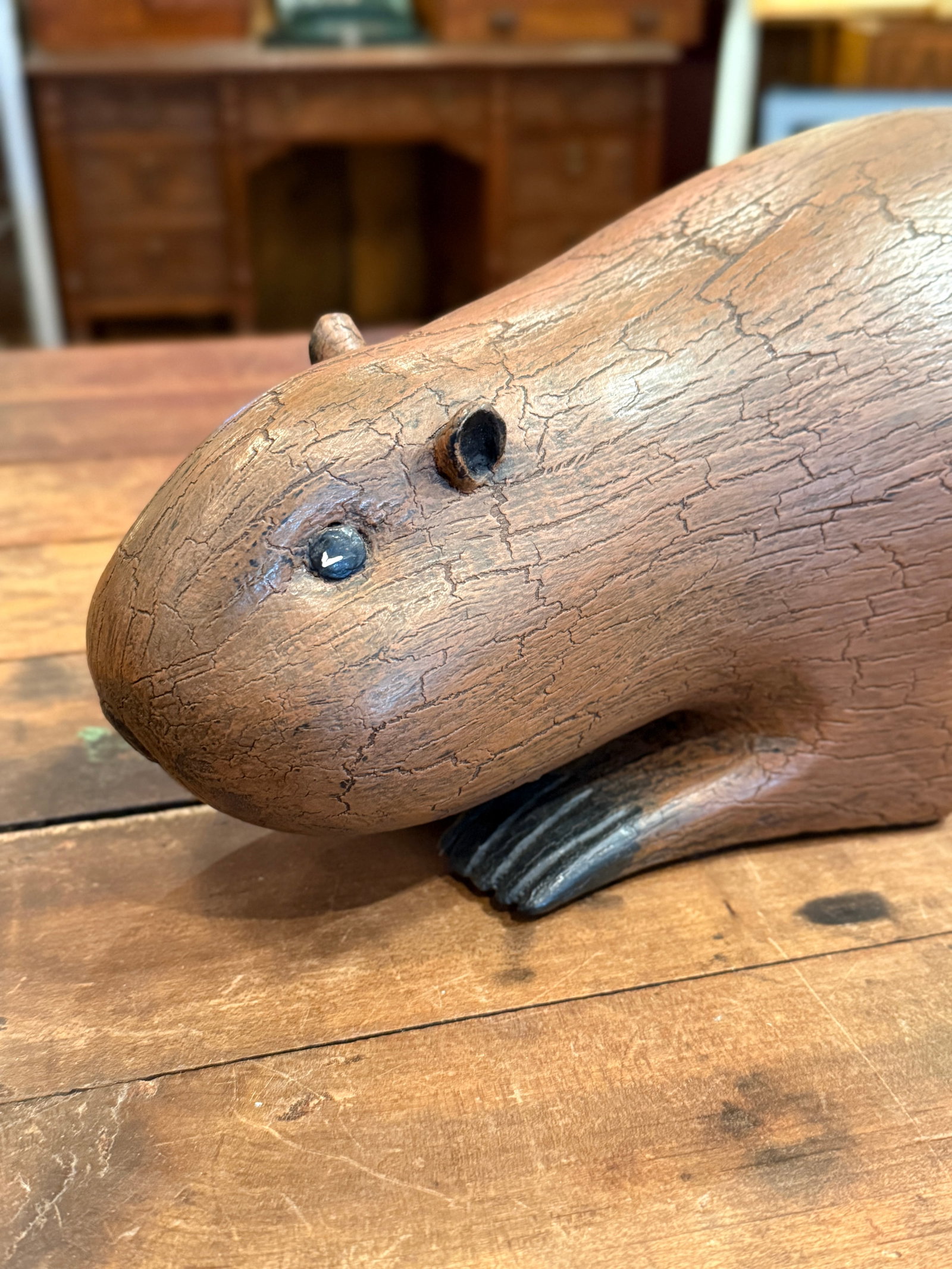 Michel Fortin Folk Art Beaver Carving Signed Quebec Sculpture - 6