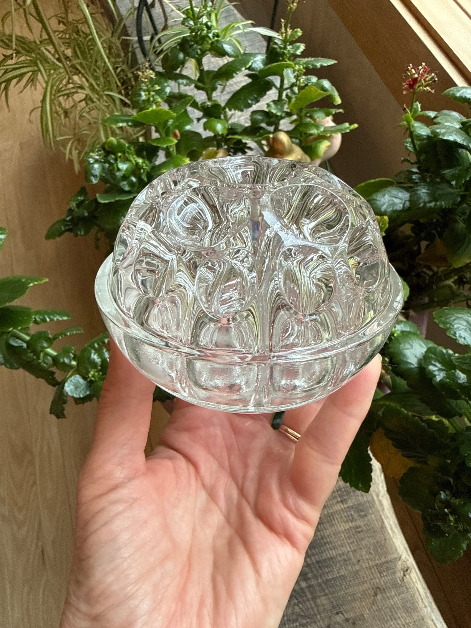Reims France Thick Clear Crystal Glass Flower Frog 19 Holes - 3