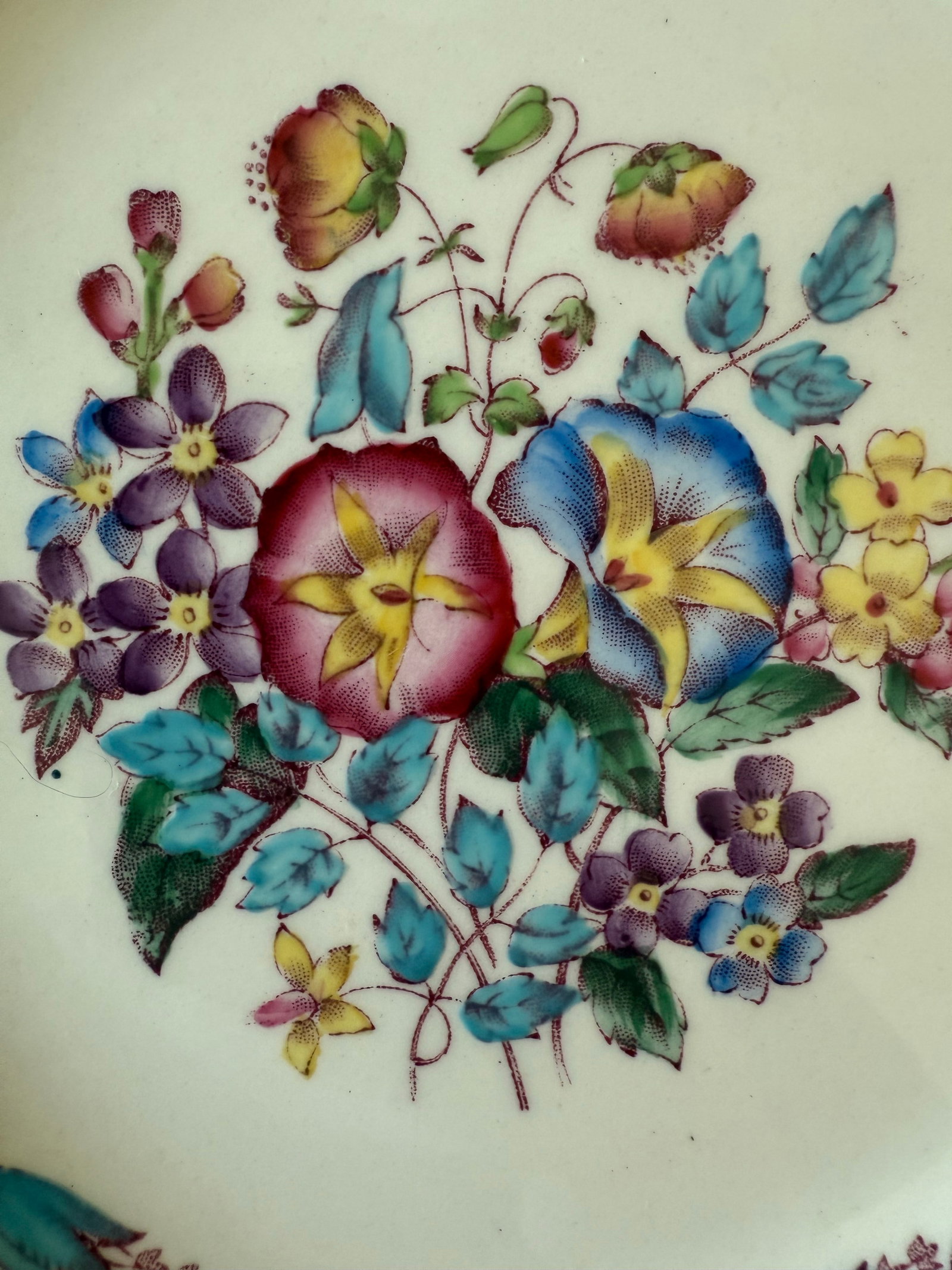 Set of 8 Wedgwood Salad Plates in the Morning Glory Pattern - 6