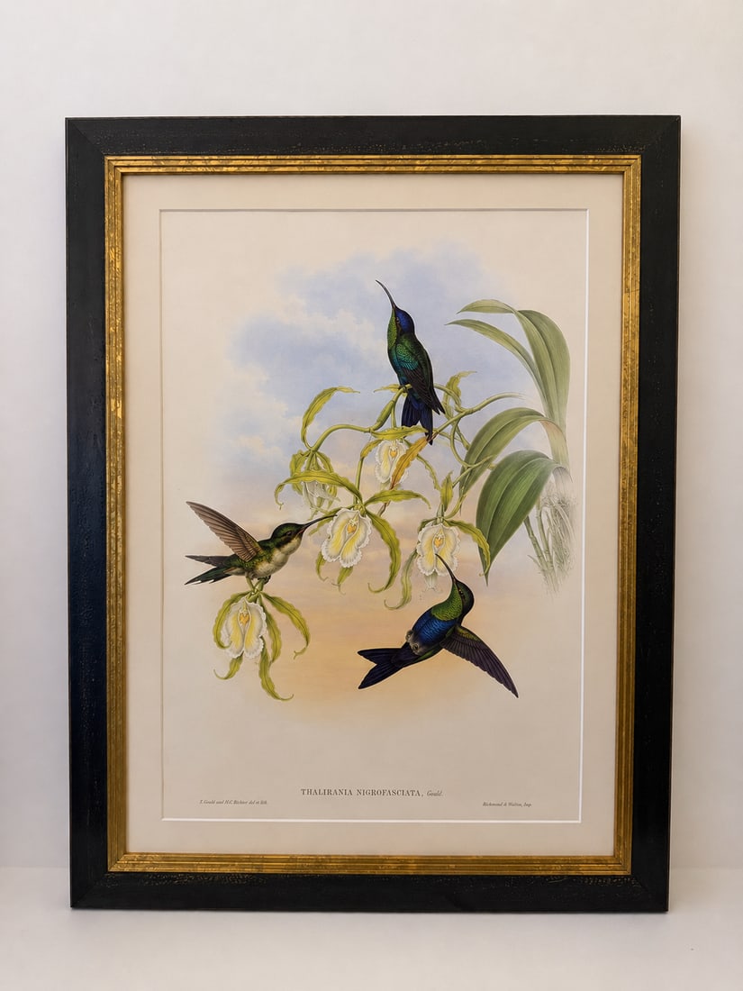 1990s Framed Prints, Set of 2, Refulgent Wood-Nymph, and Black-Banded Wood-Nymph, Hummingbirds Hill - 4